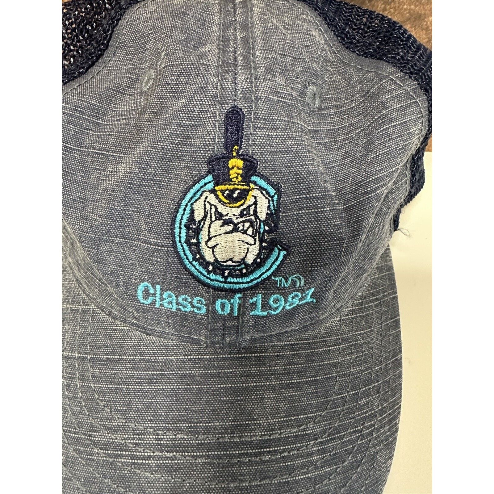 Other The Citadel Class Of 1981 Bulldogs Dad Hat Cap Adjustable SC Size ONE SIZE - 2 Thumbnail