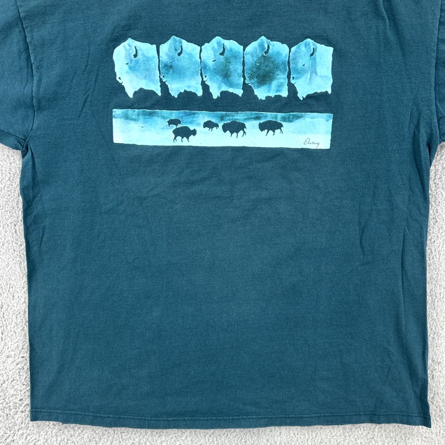 Jerzees VINTAGE Jerzees T-Shirt Mens XL Green Crew Neck Short Sleeve Bison Graphic Print USA 90s Ouray Co Size US XL / EU 56 / 4 - 4 Thumbnail