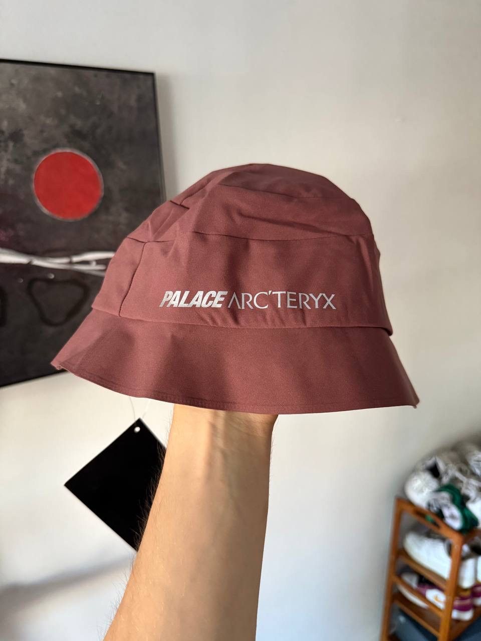 PALACE x ARC'TERYX コラボパーカー Arc'teryx × Palace Arcteryx x Palace Hoodie | Grailed