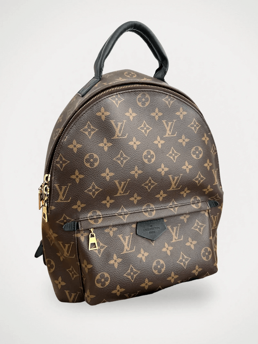 Louis Vuitton Louis Vuitton Palm Spring's Backpack MM Backpack