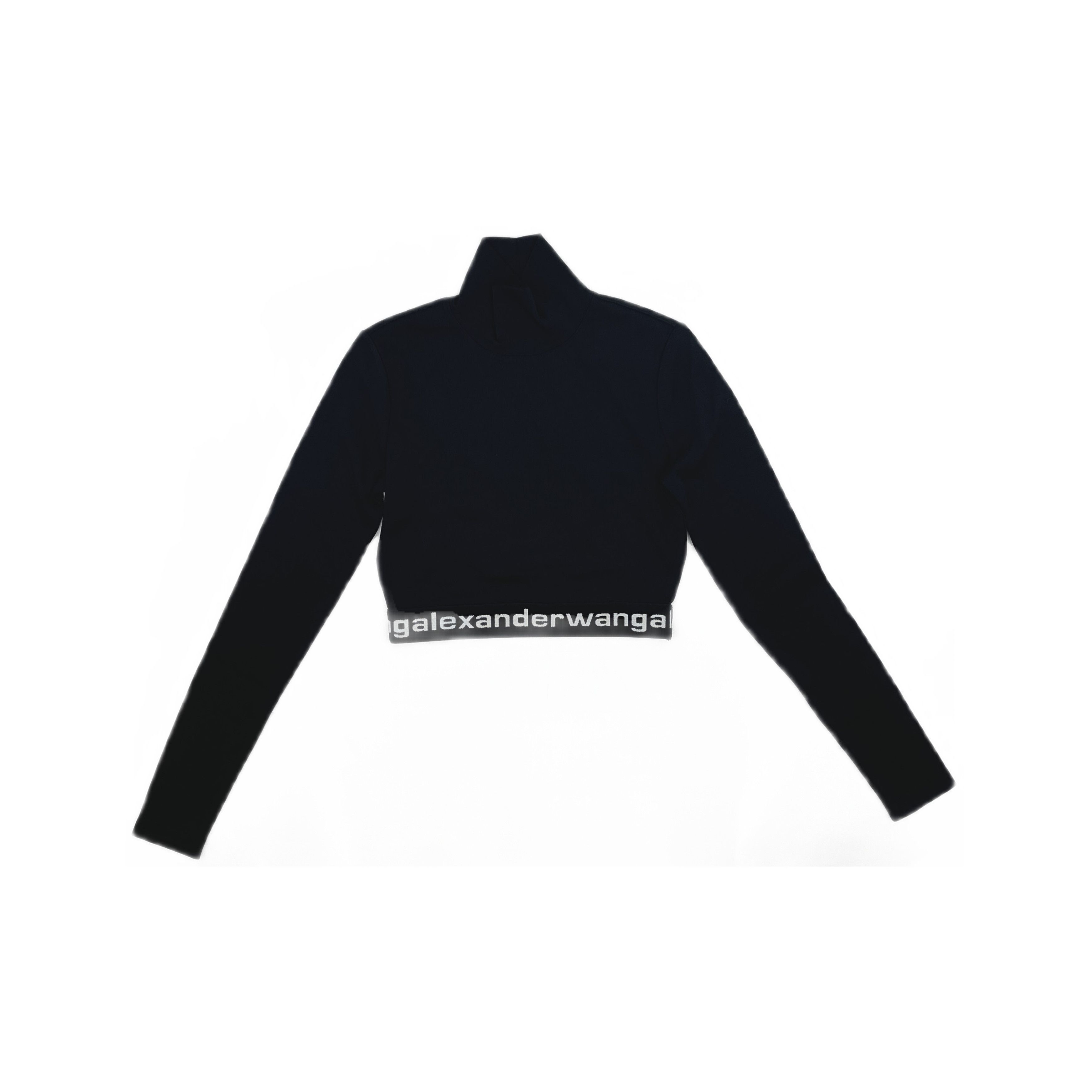 Alexander Wang Alexander Wang Logo Turtleneck Top Size S Size S / US 4 / IT 40 - 1 Thumbnail