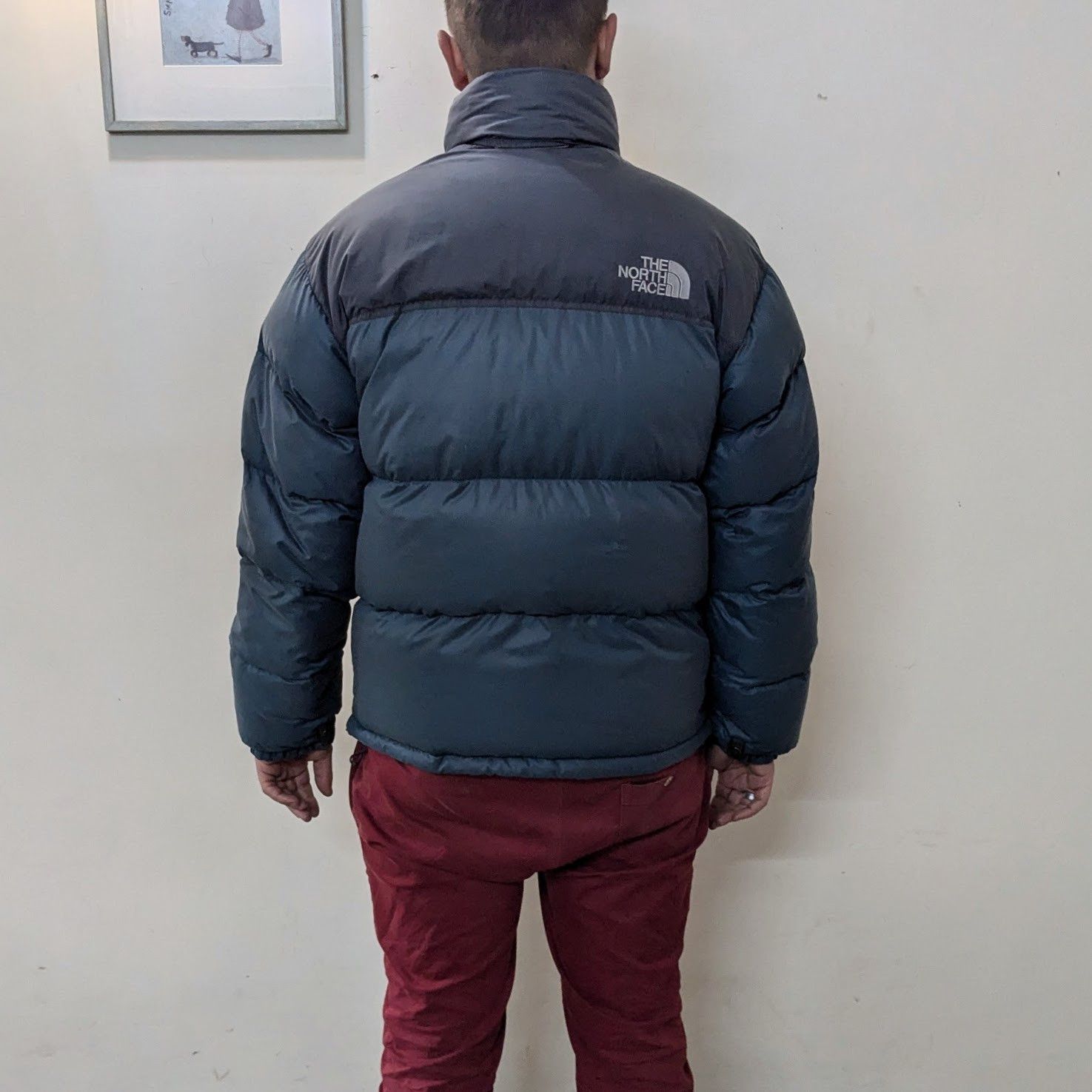 The North Face The North Face puffer jacket 700 retro nuptse dusky teal Size US M / EU 48-50 / 2 - 2 Thumbnail
