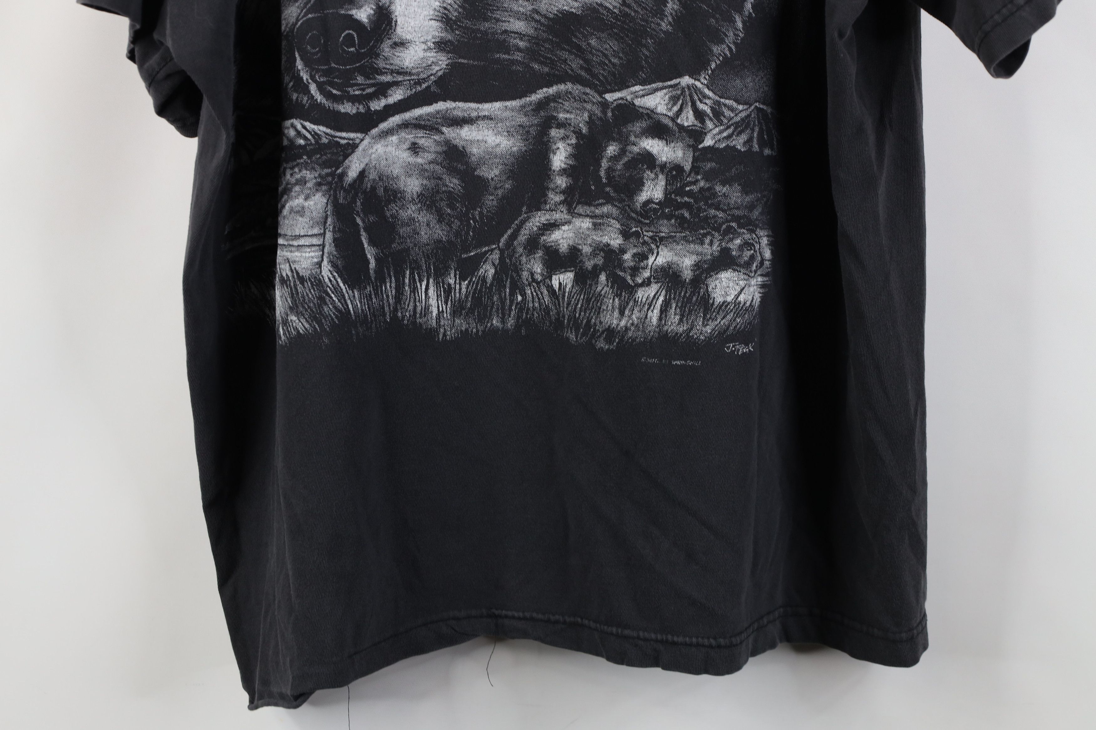 Vintage Vintage 90s Streetwear Michigan Nature T-Shirt Black Cotton Size US L / EU 52-54 / 3 - 16 Thumbnail
