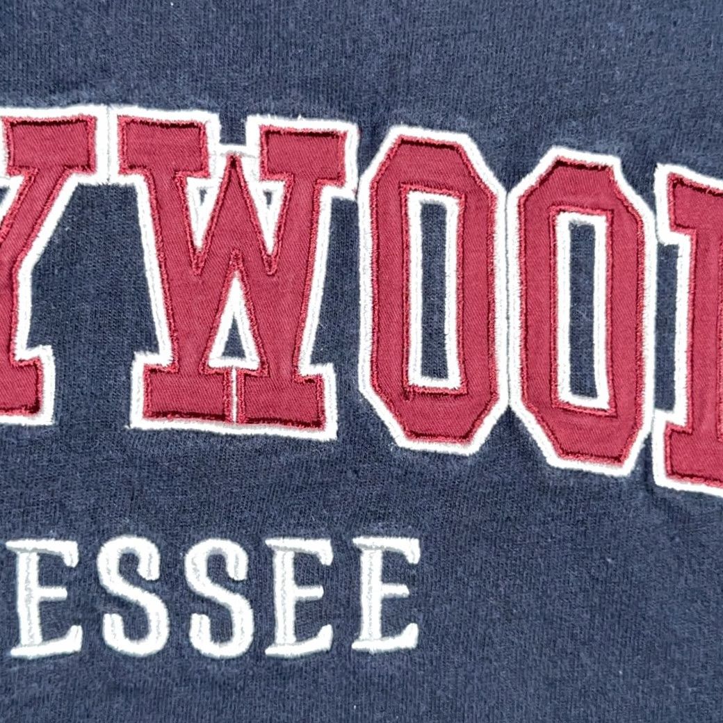 Vintage Dollywood Sweater Adult MEDIUM Blue Sweatshirt Tennessee Park Country Music Size US M / EU 48-50 / 2 - 4 Thumbnail