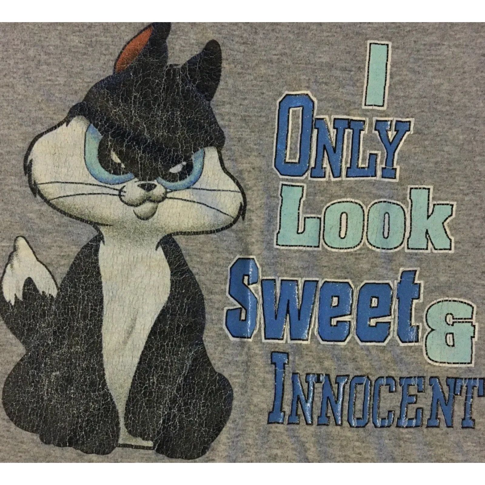 Vintage VINTAGE Pepe Le Pew Sweet Innocent Faded Shirt Men L Gray 90s Cartoon Looney Tunes Space Jam NBA Bugs Bunny Tweety Disney Size US L / EU 52-54 / 3 - 2 Thumbnail