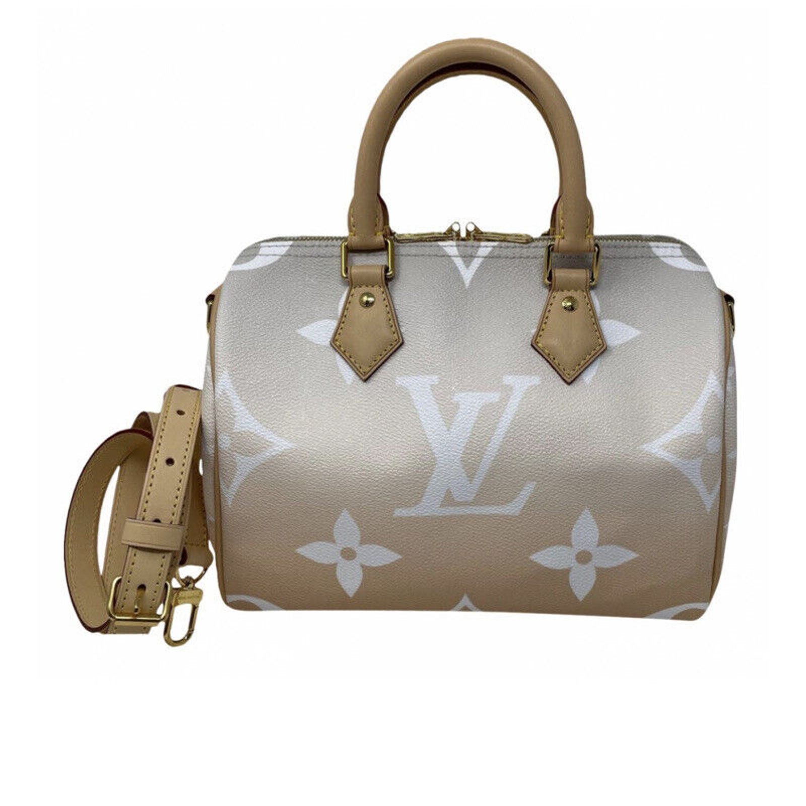 Louis Vuitton Louis Vuitton Speedy 25 Bandouliere By The Pool Brume Mist Size ONE SIZE - 13 Thumbnail