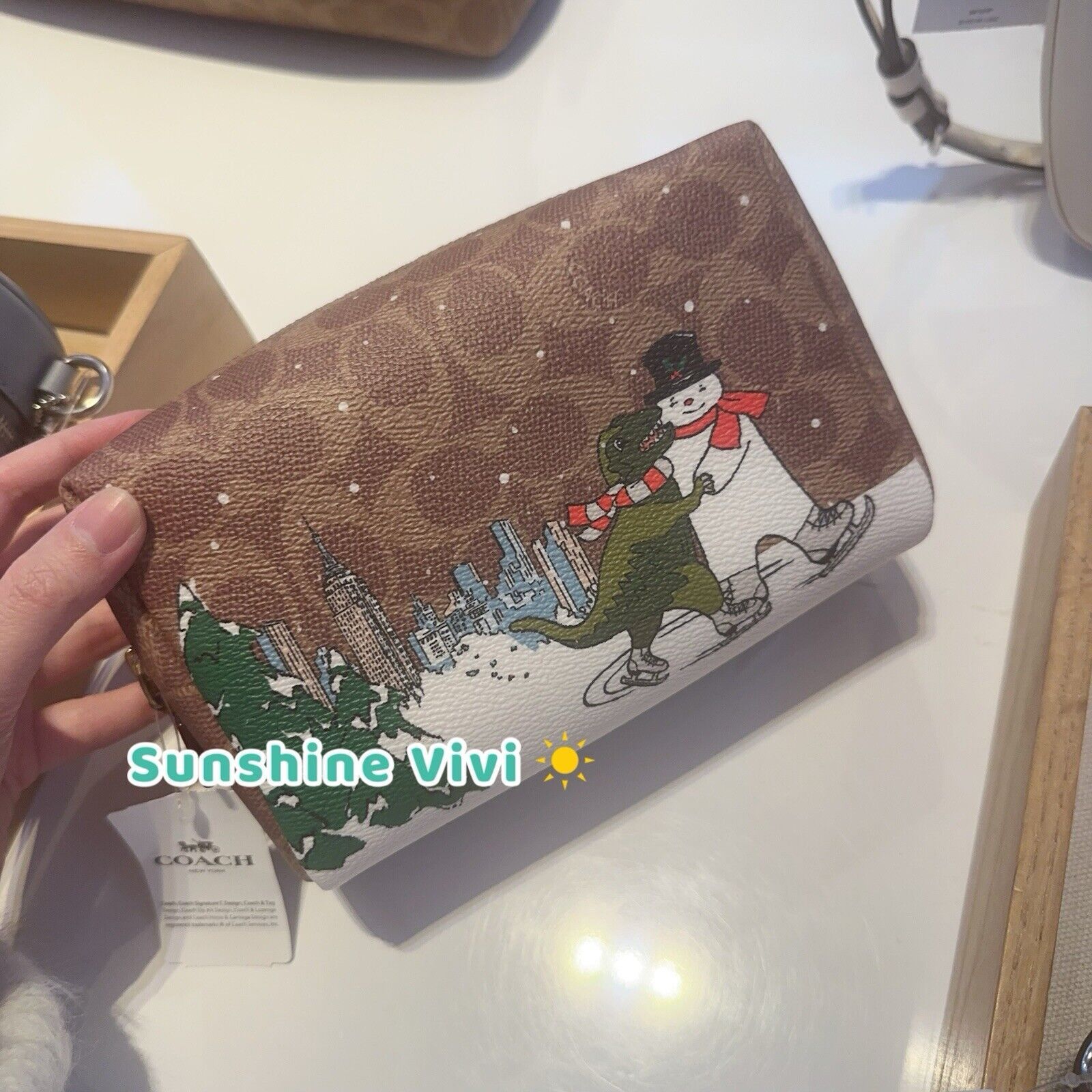 Coach NWT Limited COACH Rexy and Snowman Cosmetic Pouch Case CY304 Size ONE SIZE - 1 Thumbnail
