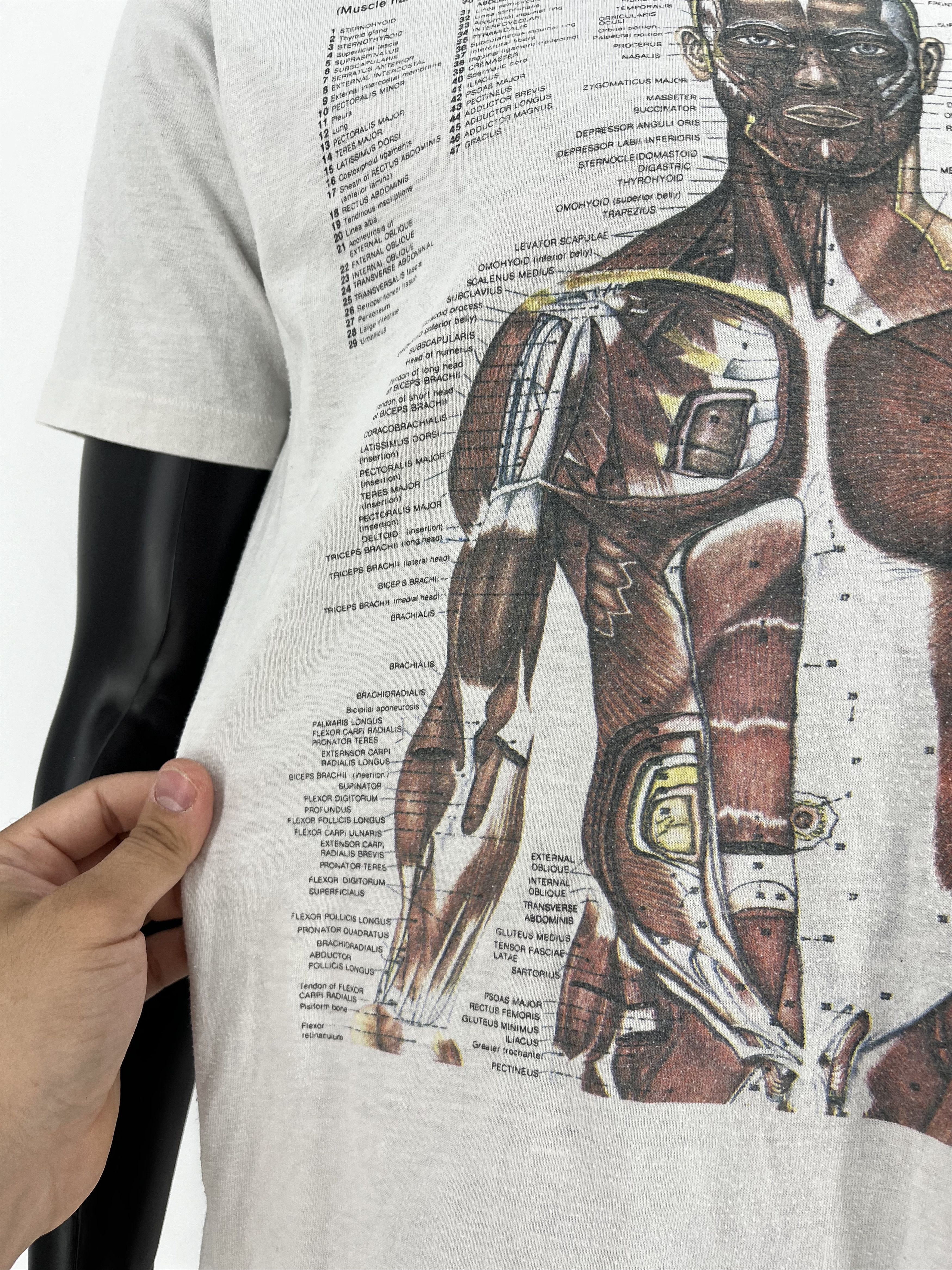 Nirvana Anatomy Muscle Shirt Same Print as Kurt Cobain Rare Medical Size US L / EU 52-54 / 3 - 8 Thumbnail
