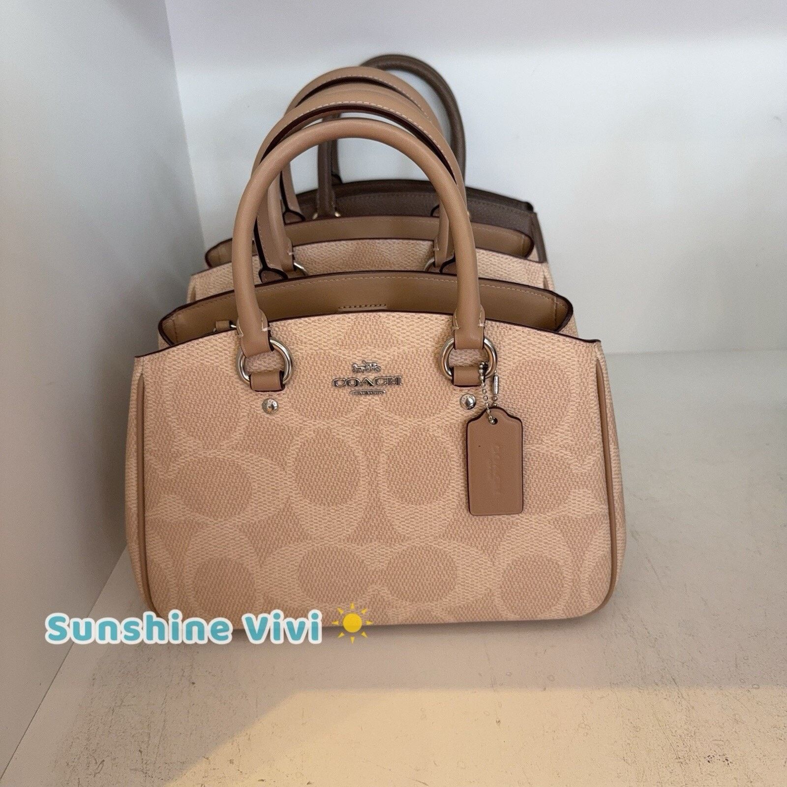 NWT Coach Savannah Small Carryall Bag CAL53 Sand/Taupe