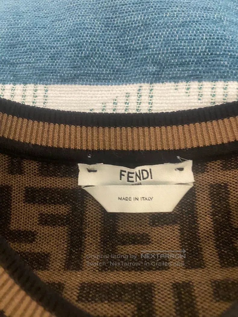 Fendi Fendi Brown full-print double-sided hooded down coat Size XXS / US 00 / IT 34 - 2 Thumbnail