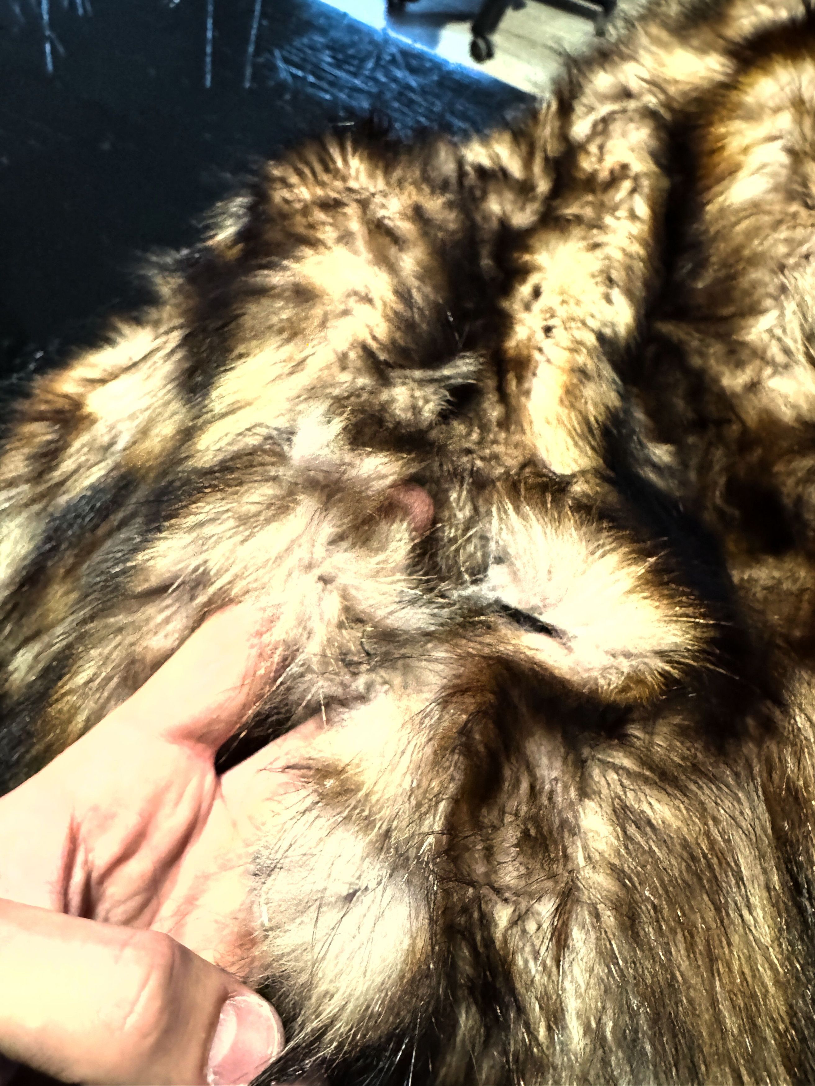 Yohji Yamamoto Hysteric Japanese Reversible Real Leather Fur Jacket 90S Y2K Size US S / EU 44-46 / 1 - 15 Thumbnail
