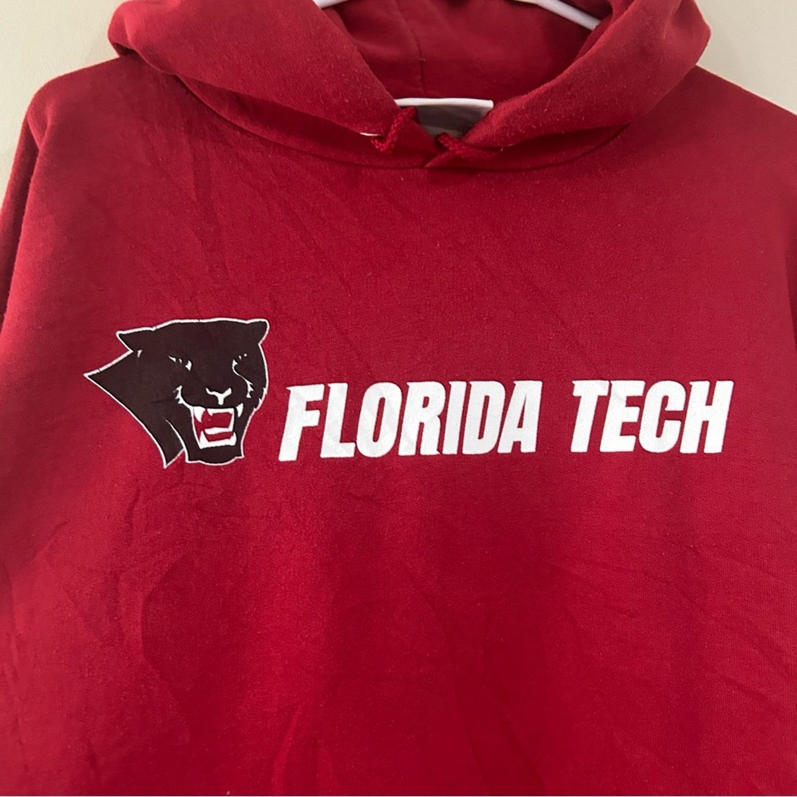 Champion Champion Florida Tech Panthers Hoodie Size US M / EU 48-50 / 2 - 2 Thumbnail
