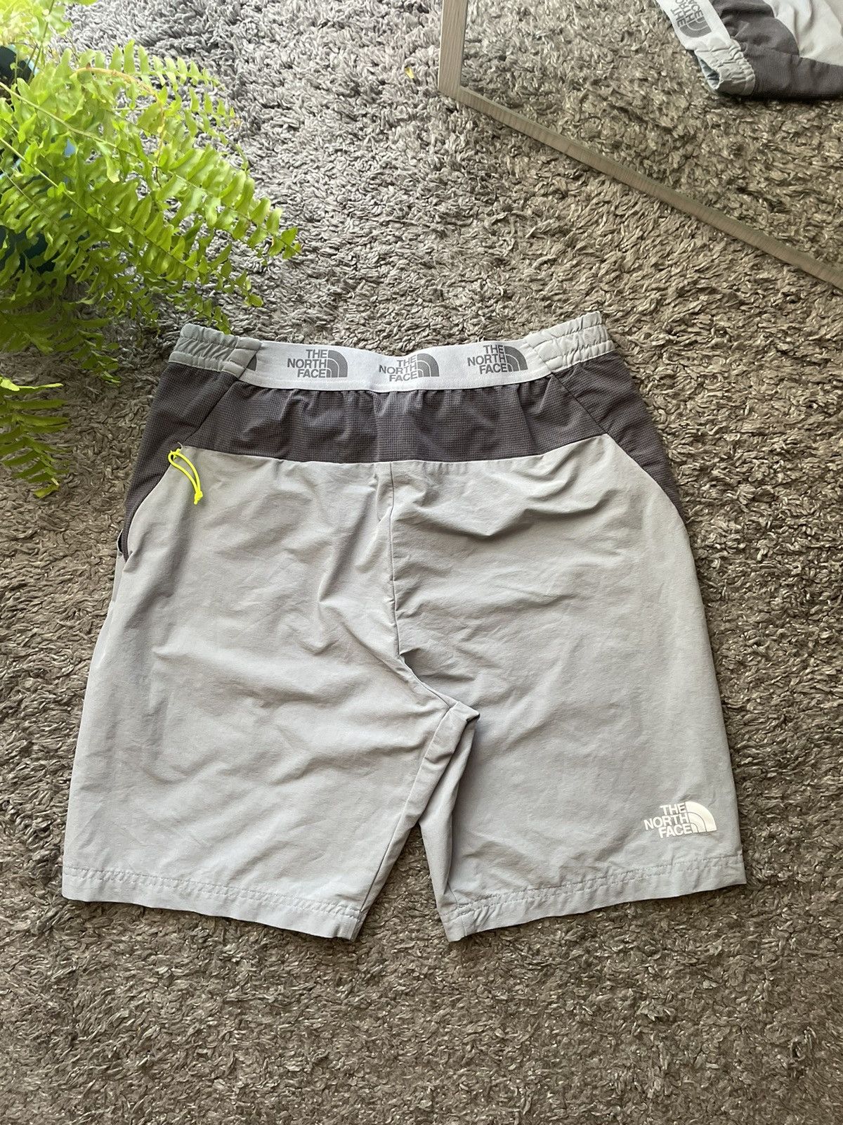 The North Face The North Face Shorts Streetwear Gorpcore Outdoor Logo Rare Size US 30 / EU 46 - 8 Thumbnail