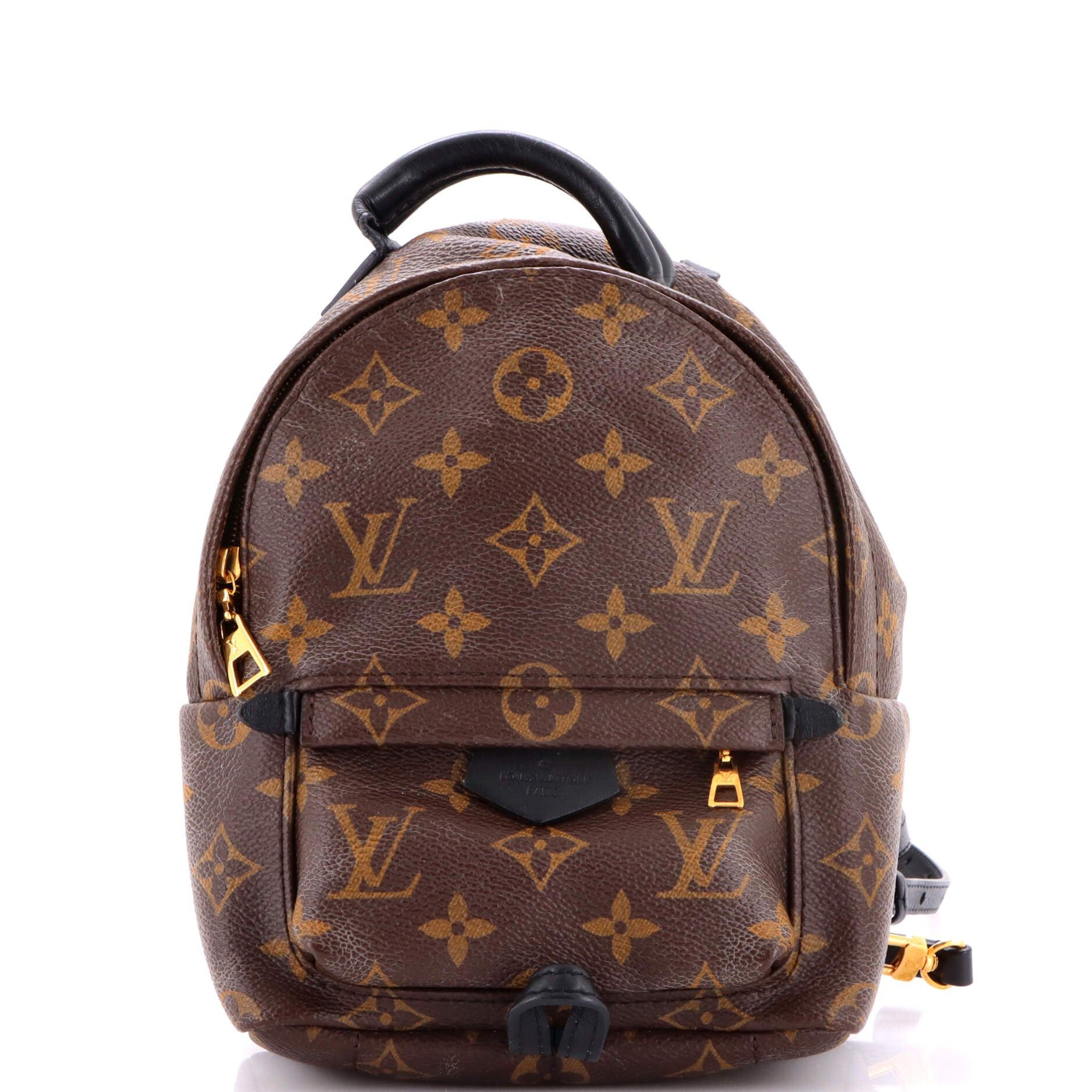 Louis Vuitton Palm Springs Backpack Size ONE SIZE - 1 Thumbnail