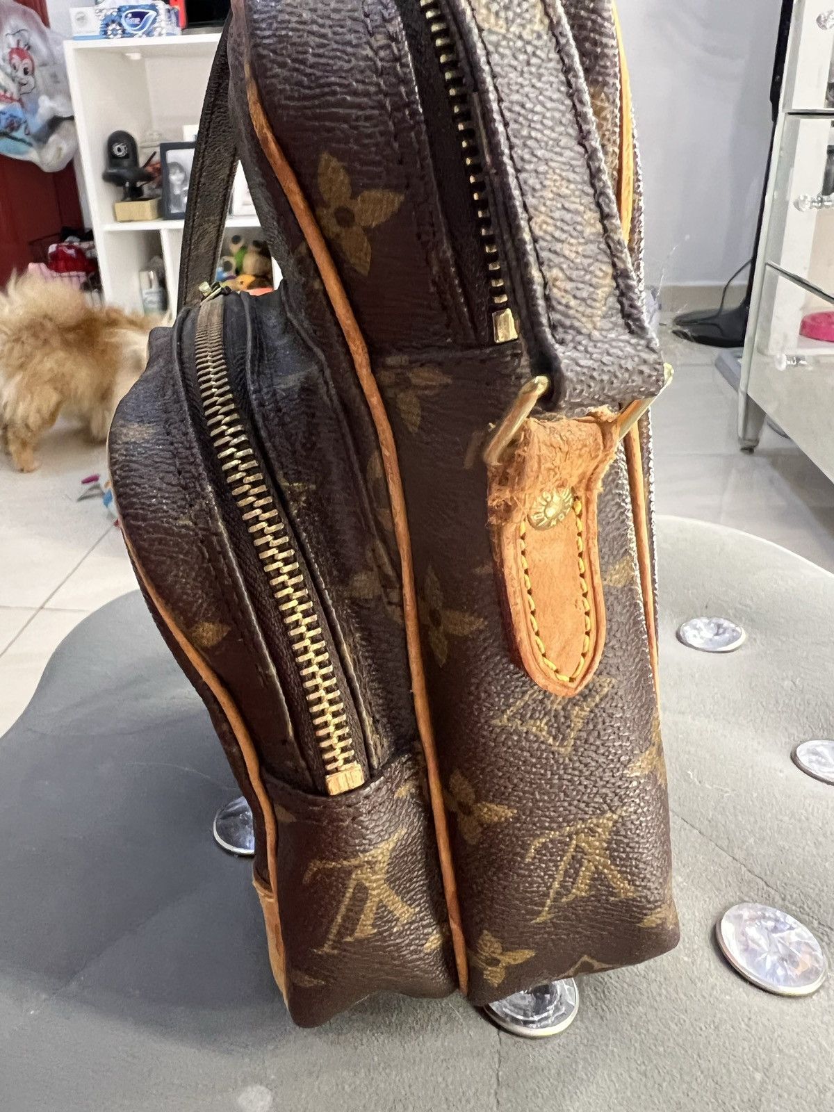 Louis Vuitton LOUIS VUITTON AMAZON CROSSBODY Size ONE SIZE - 3 Thumbnail