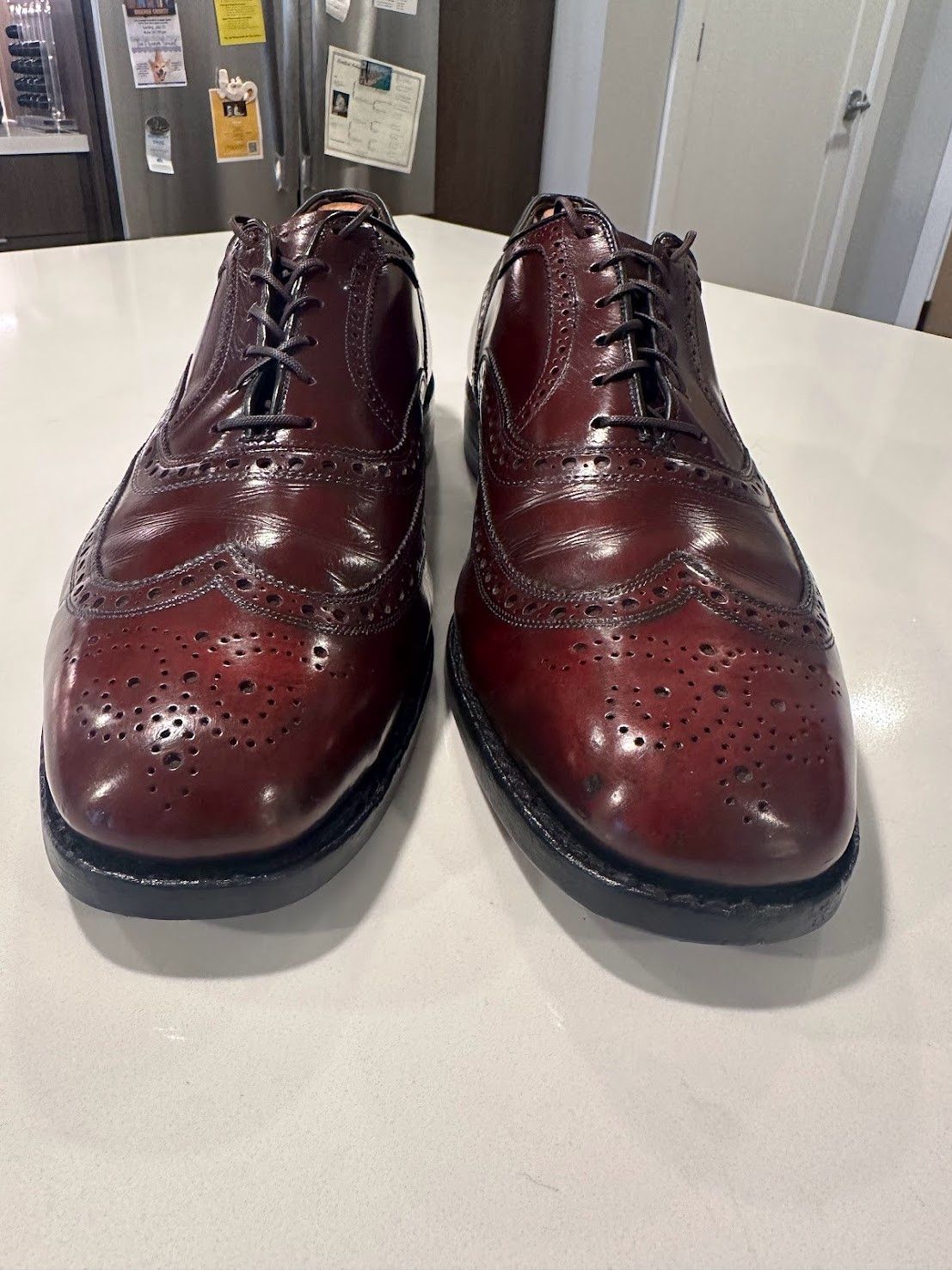 Allen Edmonds Shell Cordovan Color 8 Cambridge | Grailed