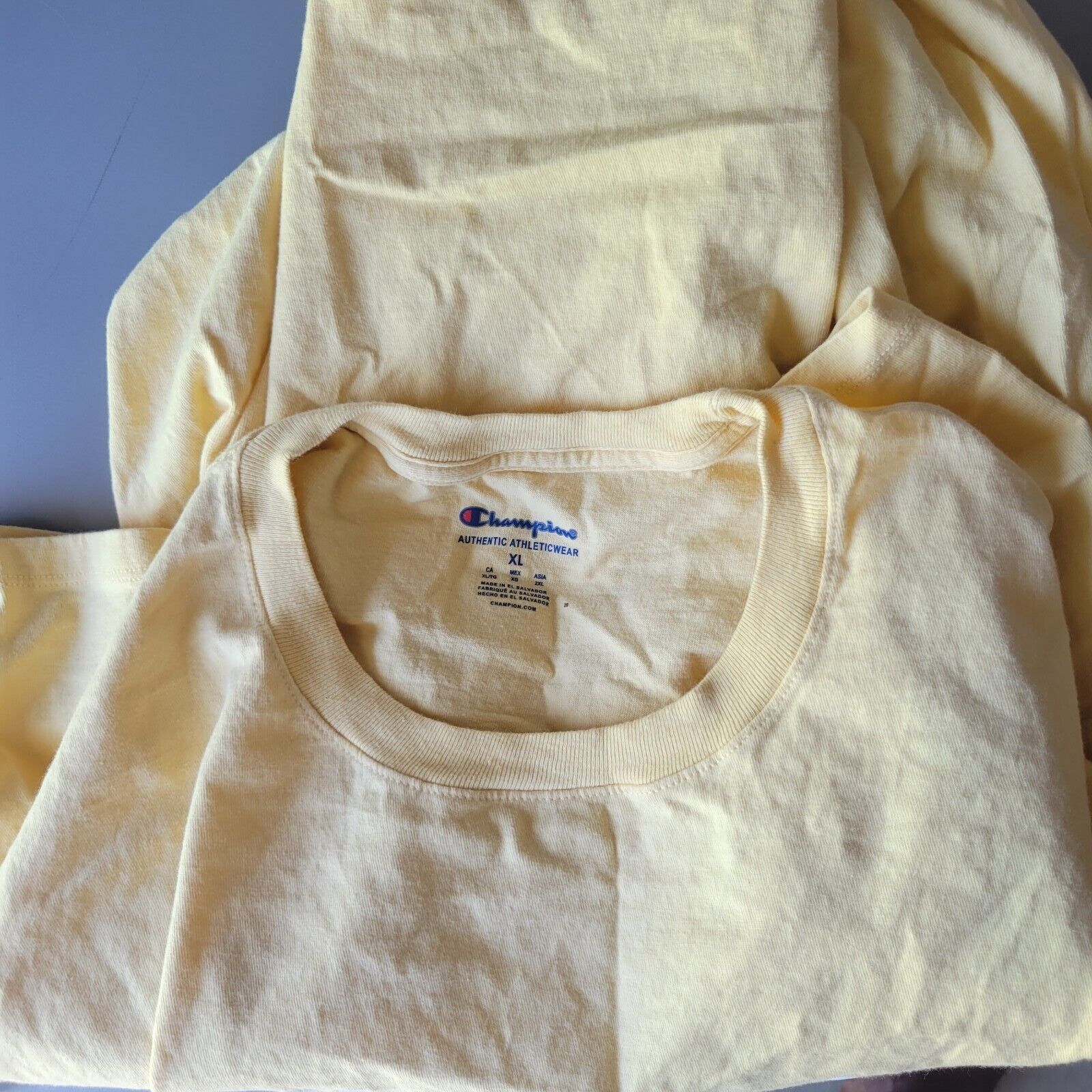 Champion Men's Champion Authentic Tshirt. Size XL Size US XL / EU 56 / 4 - 5 Thumbnail