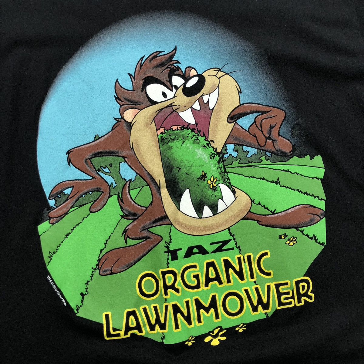 Warner Bros Warner Bros Studios 00’s Taz Printed 2000 Vintage T-Shirt Size US XL / EU 56 / 4 - 5 Thumbnail