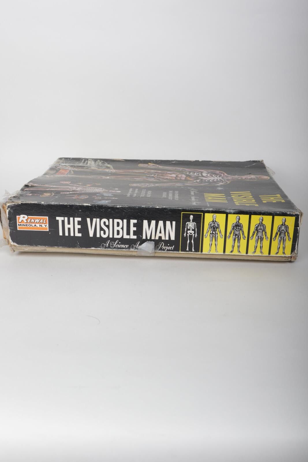 Urban Renewal 60's Renwal The Invisible Man Anatomy Model Kit Size ONE SIZE - 5 Thumbnail