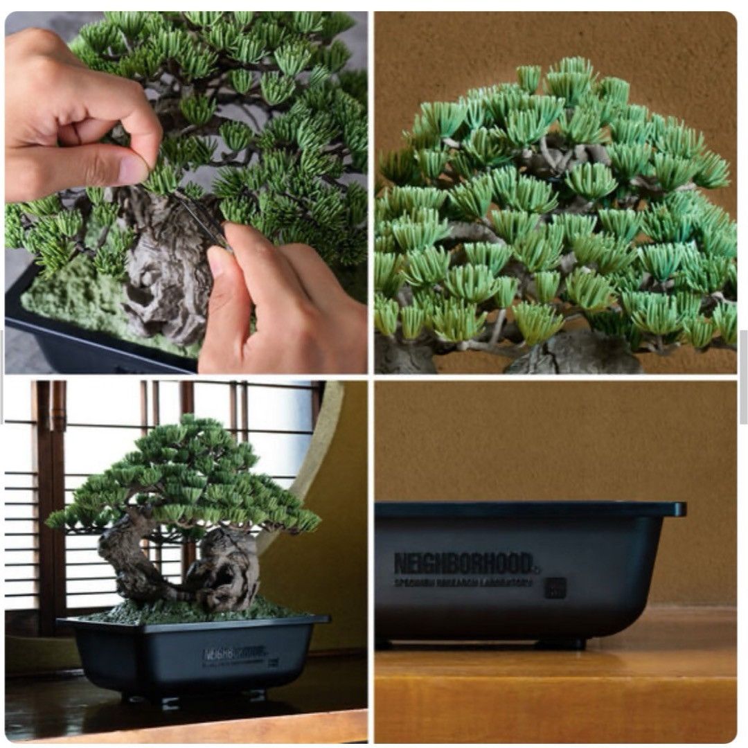 Neighborhood Neighborhood SRL Bonsai Size ONE SIZE - 2 Thumbnail