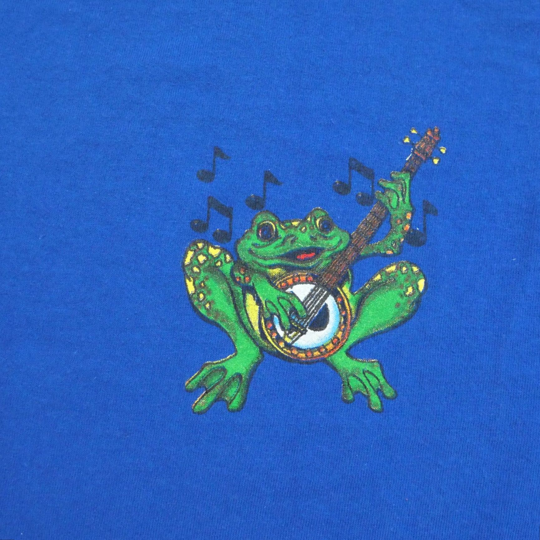 Tultex VINTAGE South Carolina T Shirt Adult Large Blue Frog Band Mens Y2K Size US L / EU 52-54 / 3 - 3 Thumbnail