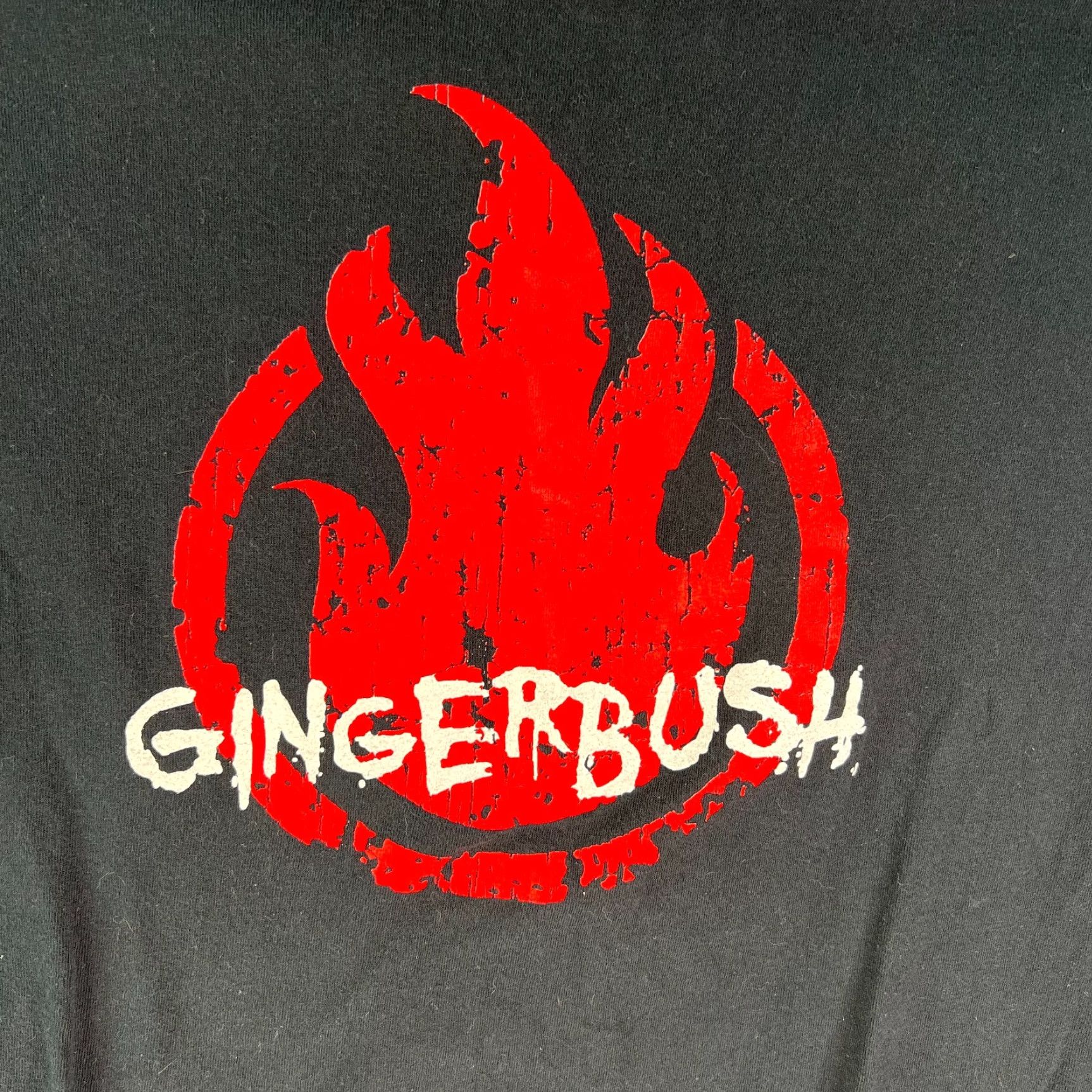 Gildan Gingerbush Band Graphic T Shirt XL Mens Short Sleeve Black Crew Neck - Gildan Modern Classic Tee Regular Fit Cotton Graphic Print Shirt Mens Black XL Size US XL / EU 56 / 4 - 2 Thumbnail