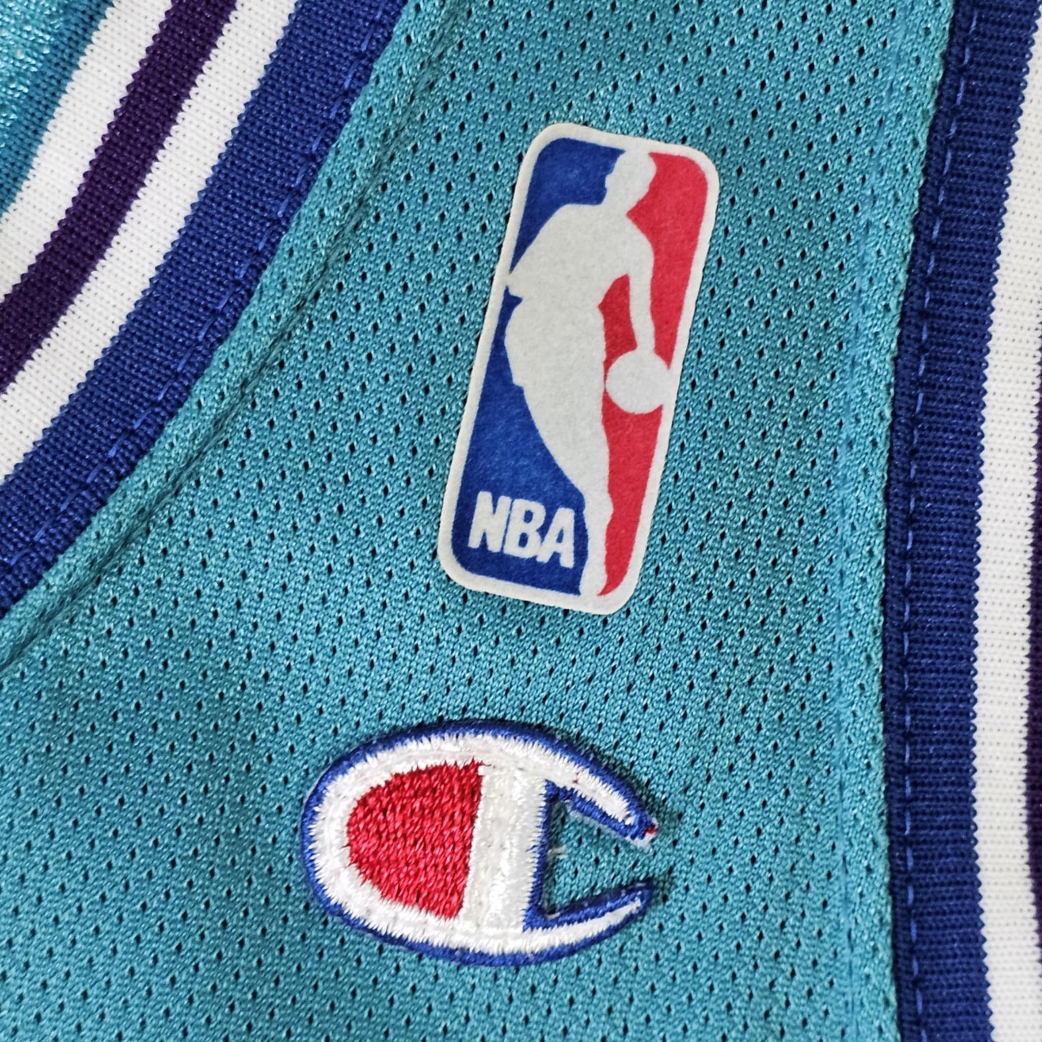Champion × Vintage Charlotte Hornets Vintage 90s Larry Johnson Jersey Size US XL / EU 56 / 4 - 7 Thumbnail
