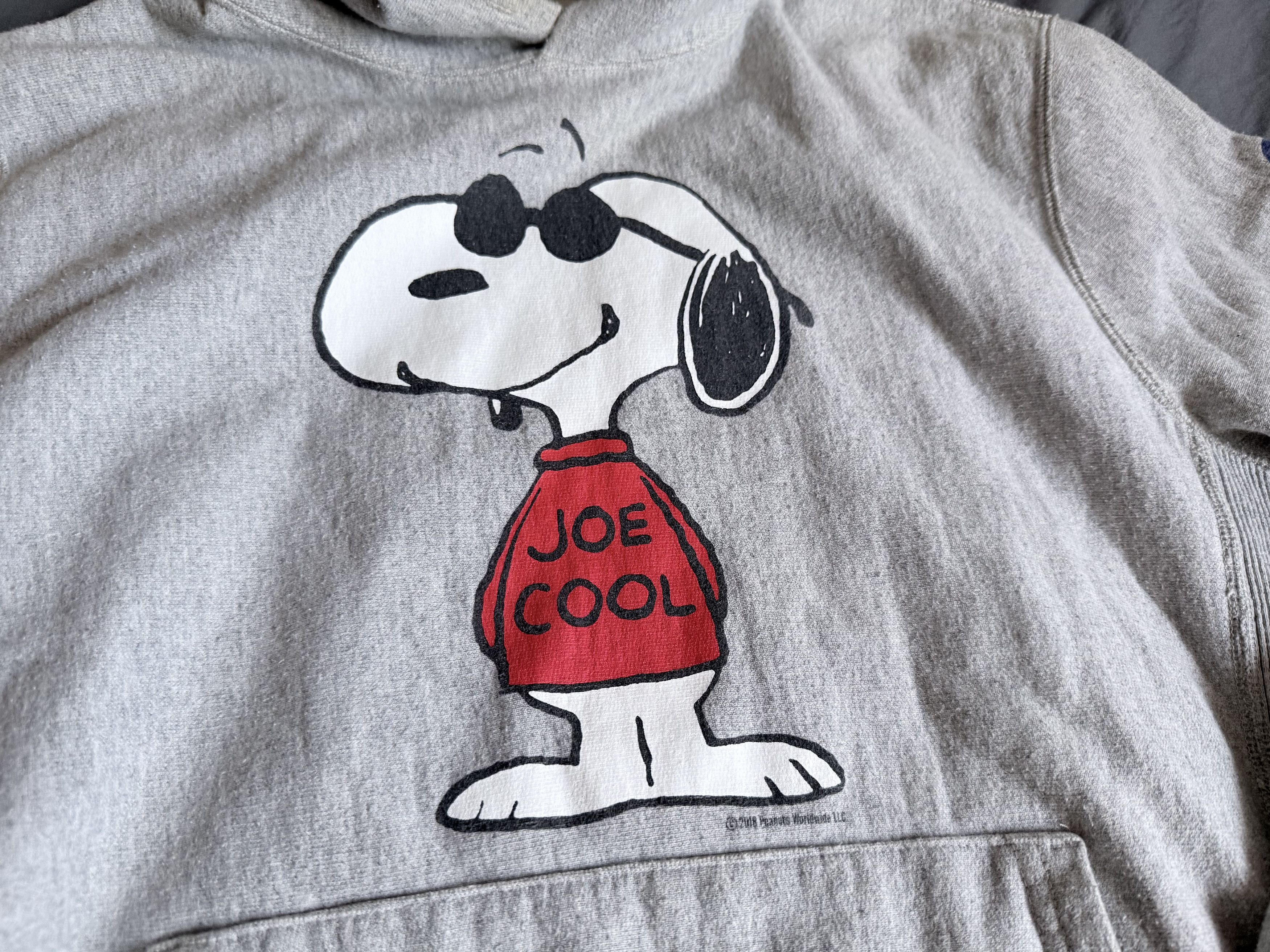 Todd Snyder X Champion Peanuts Snoopy Hoodie Medium