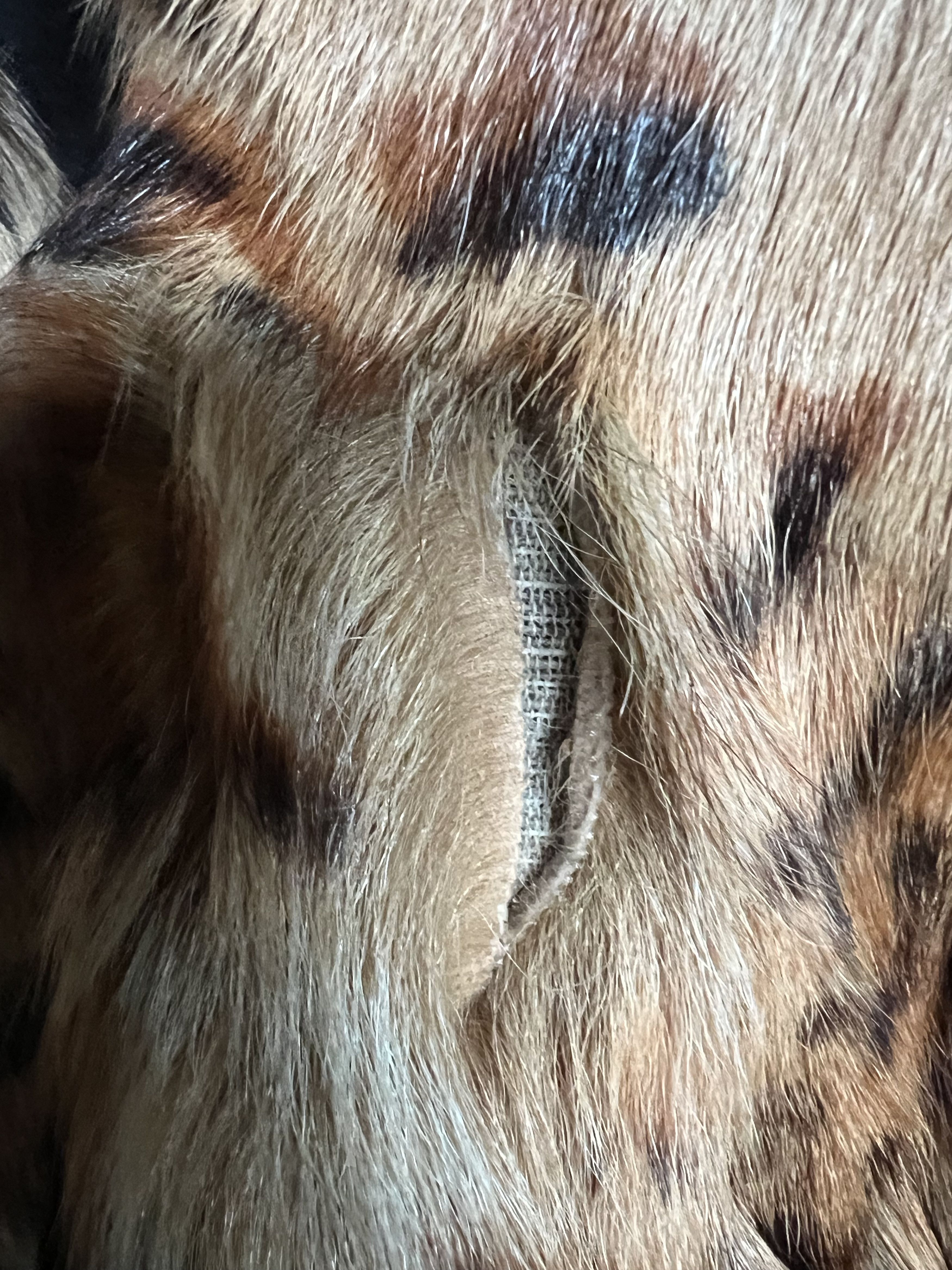 Dries Van Noten GRAIL Leopard-print Fur Coat F/W 2007 Sz M Size US M / EU 48-50 / 2 - 13 Thumbnail