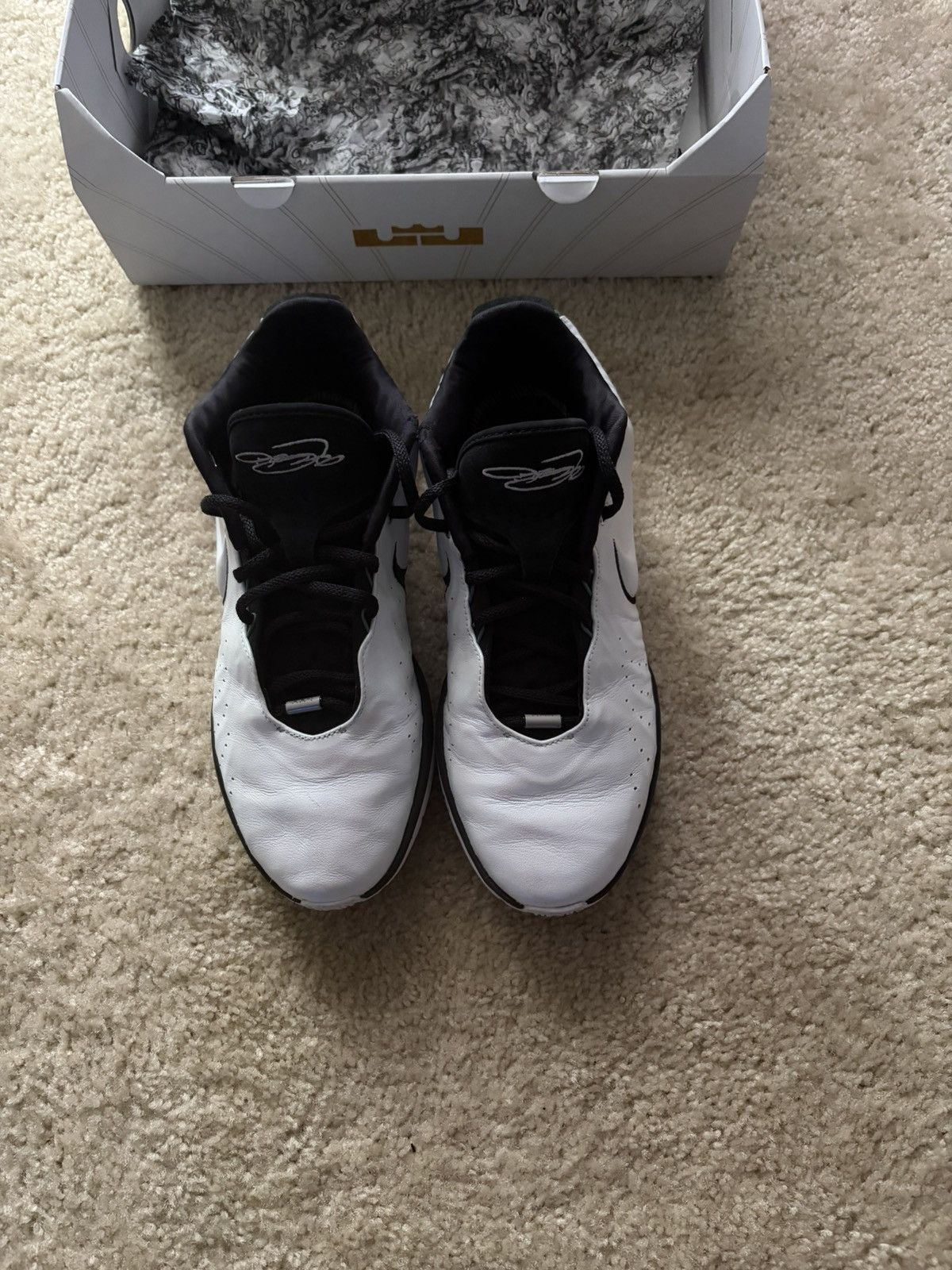Nike Lebron XXI 21 Pearl Size US 12 / EU 45 - 1 Thumbnail