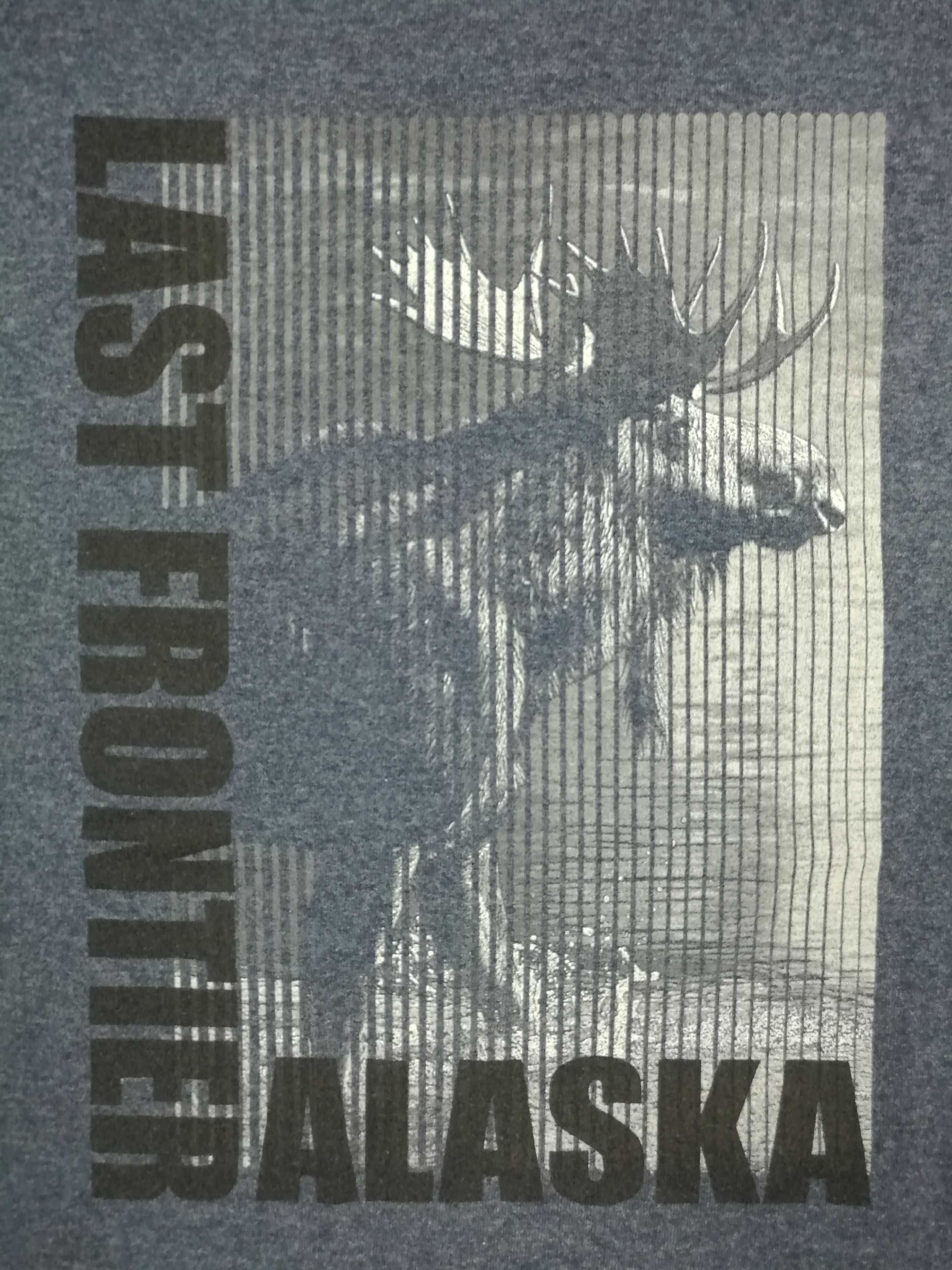 Vintage Vintage Last Frontier Alaska T-Shirt Size US L / EU 52-54 / 3 - 2 Thumbnail