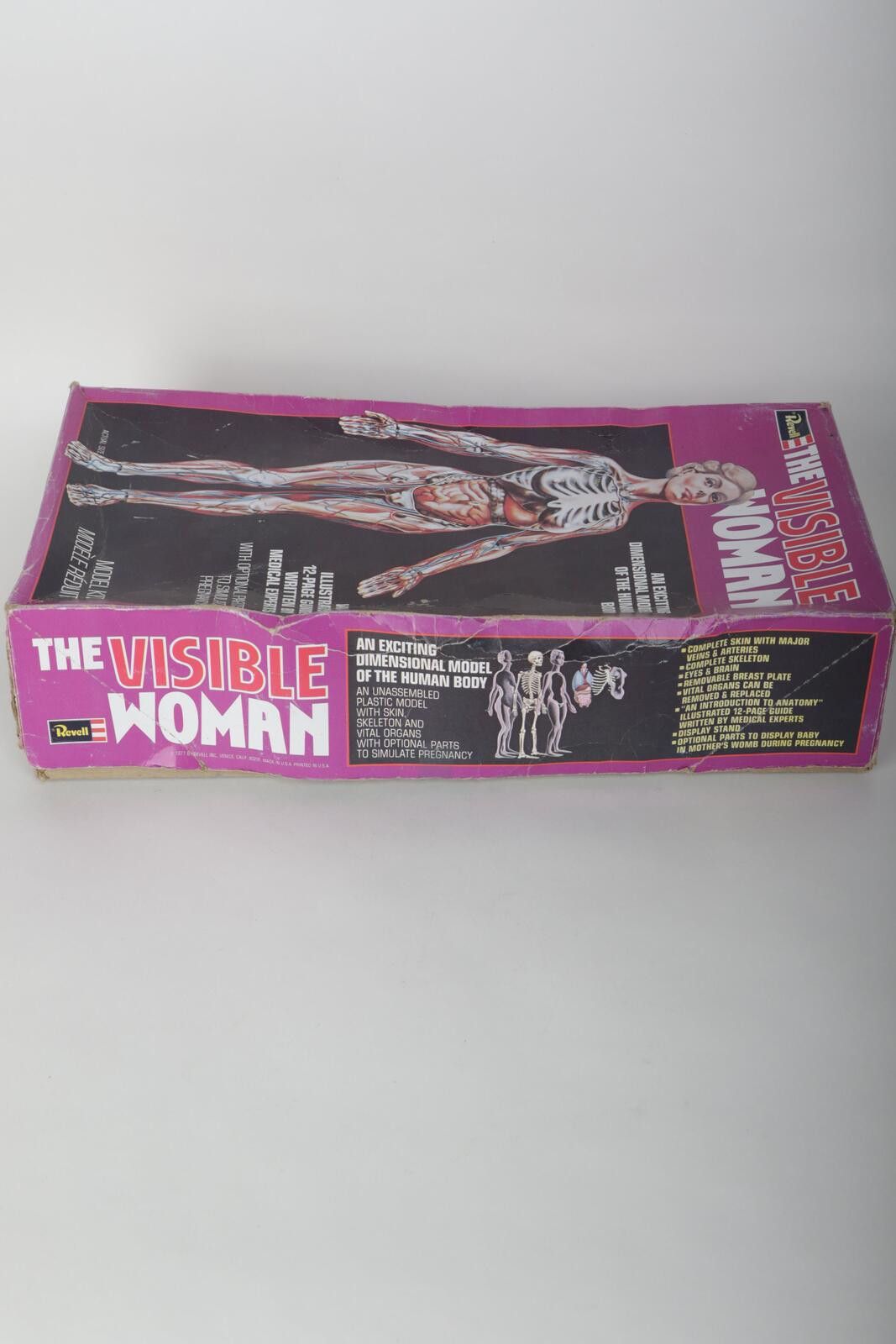 Other 60's Renwal The Invisible Woman Anatomy Model Kit Size ONE SIZE - 2 Thumbnail
