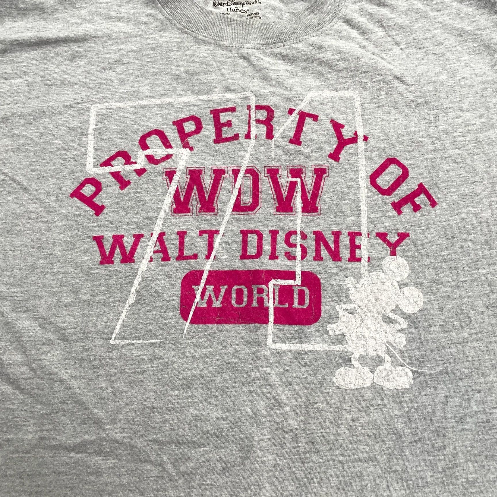 Hanes Disneyland Disney x Hanes Graphic T-Shirt Unisex Adult Large Gray Crew Neck Tee Size L / US 10 / IT 46 - 4 Thumbnail