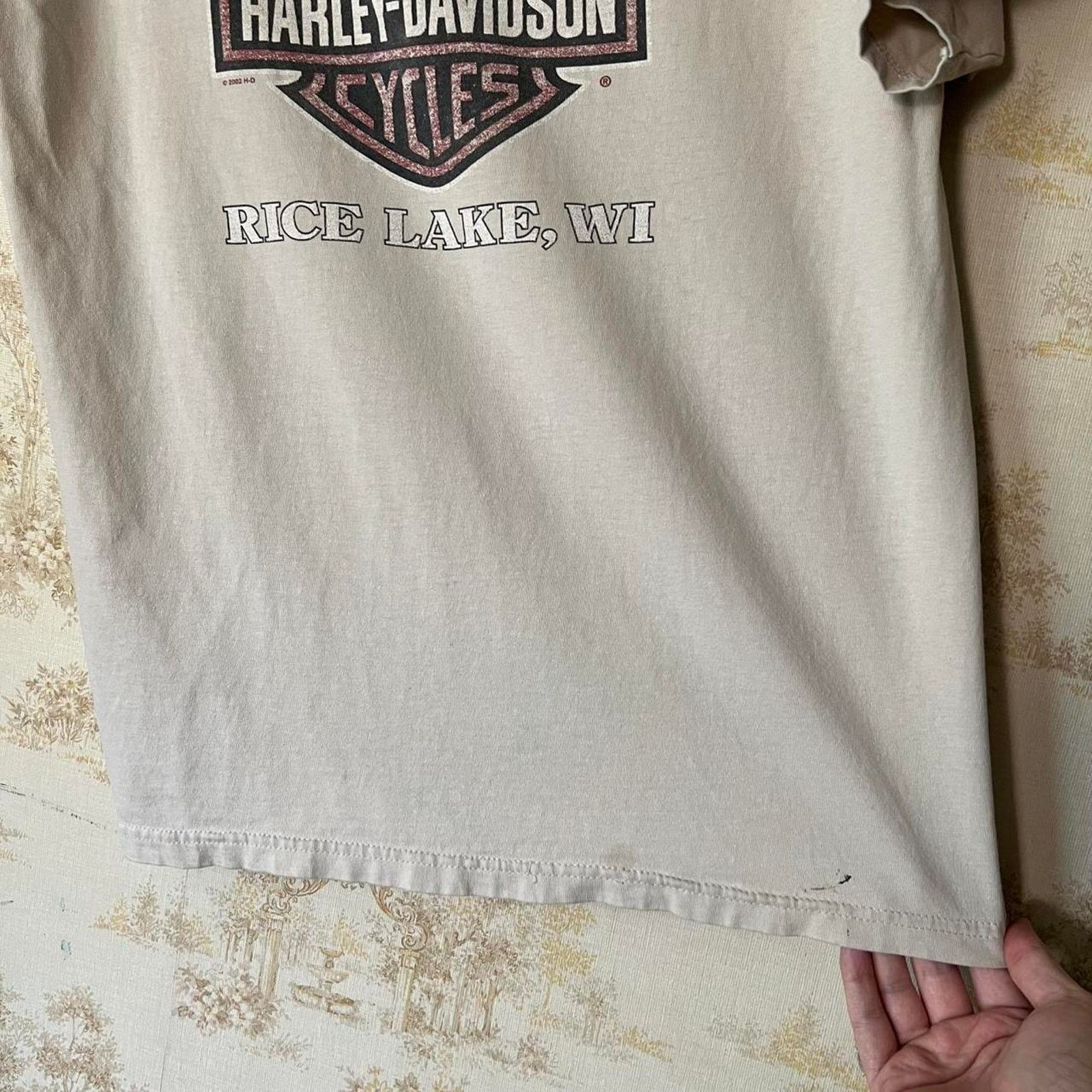 Harley Davidson 00s Distressed Harley Davidson T-Shirt | Rice Lake Wisconsin Size US L / EU 52-54 / 3 - 12 Thumbnail