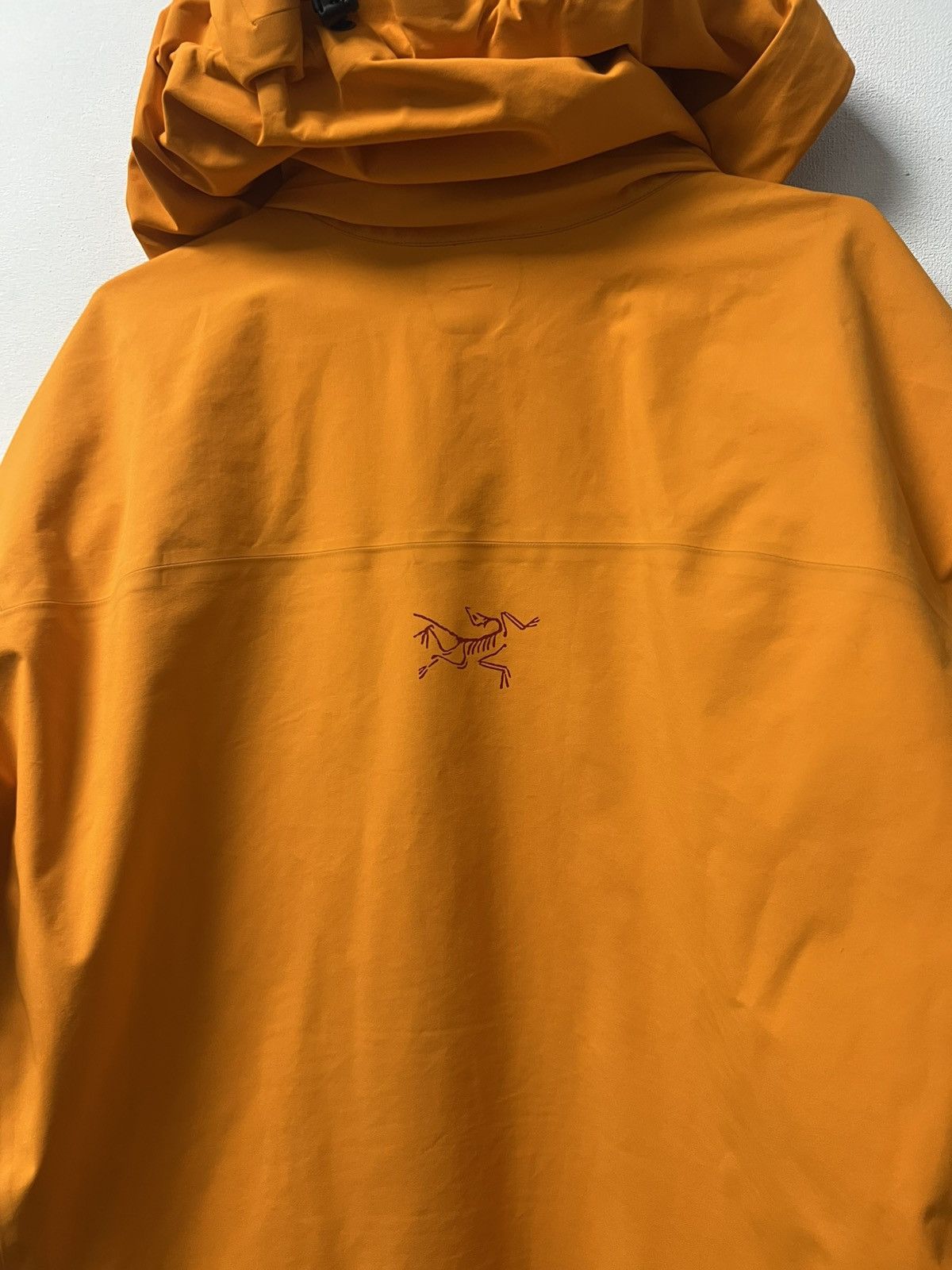 Arc'teryx Men's Arcteryx Beta Gore-Tex Jacket Size L Size US L / EU 52-54 / 3 - 15 Thumbnail
