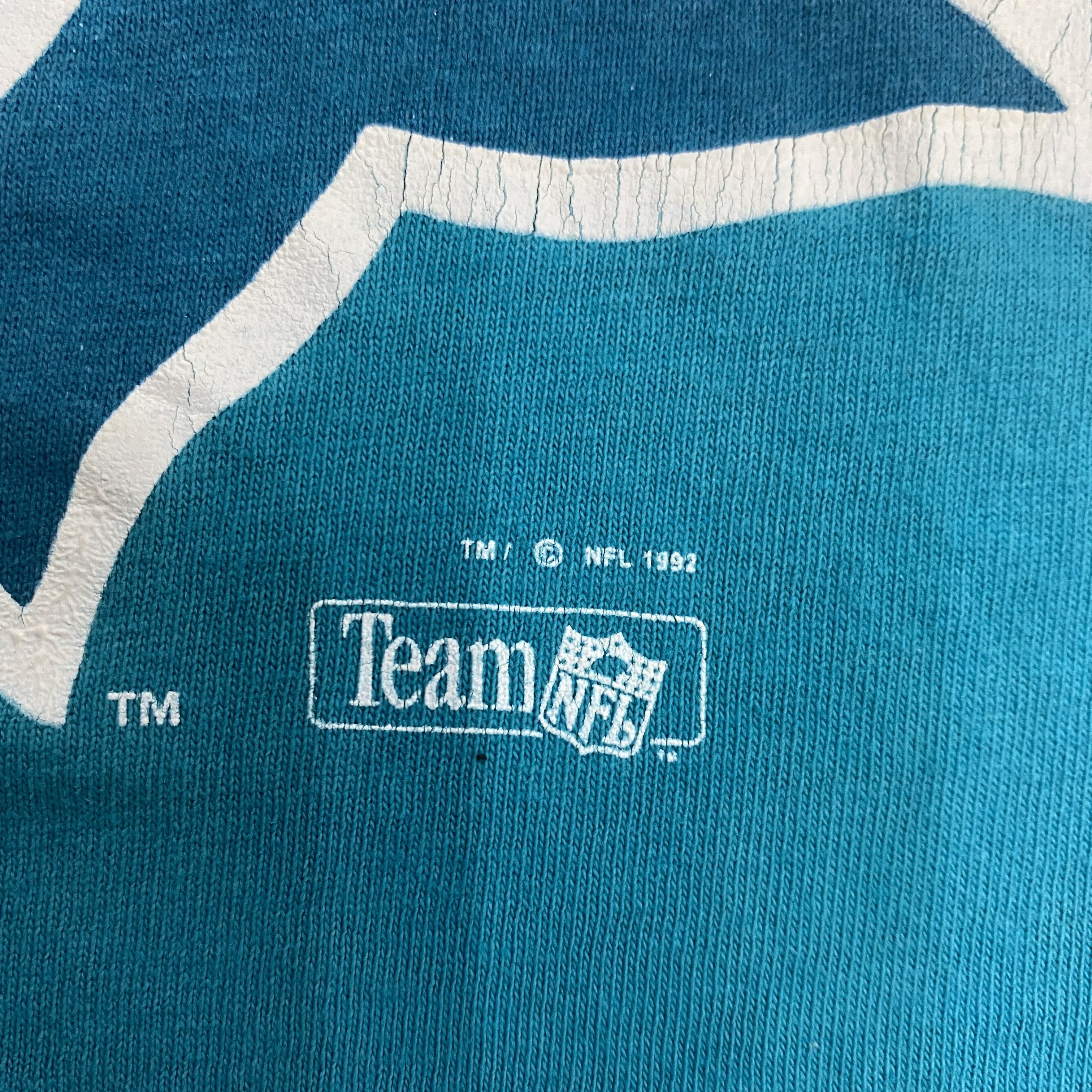 Vintage Dolphins Salem Sportwear Team NFL - J006