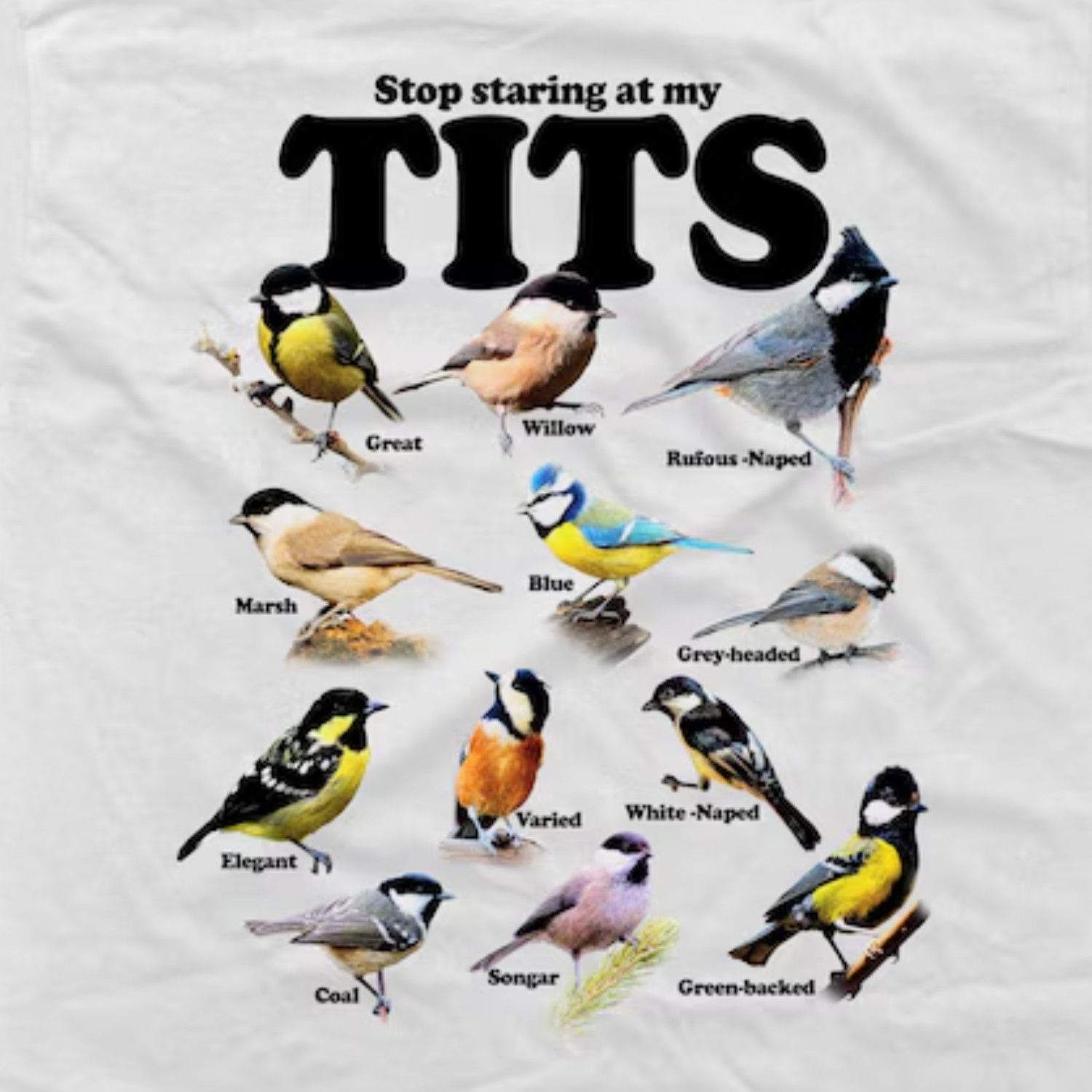 Japanese Brand Tit Birds Vintage 90s T-Shirt, Funny Retro Y2K Graphic Tee Size US L / EU 52-54 / 3 - 2 Thumbnail