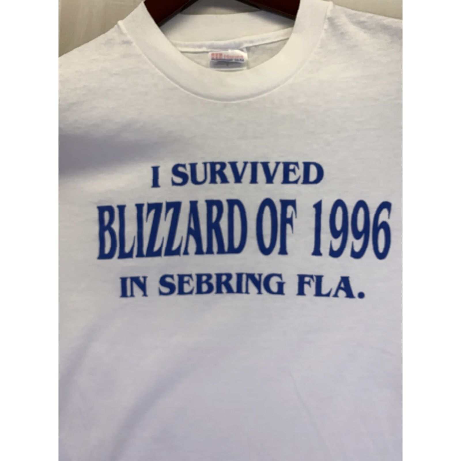 Hanes VINTAGE I Survived The Blizzard Of 96 Sebring FLA Mens T Shirt M White Hanes Shirt Mens 1990s Blizzard 96 Size US M / EU 48-50 / 2 - 4 Thumbnail