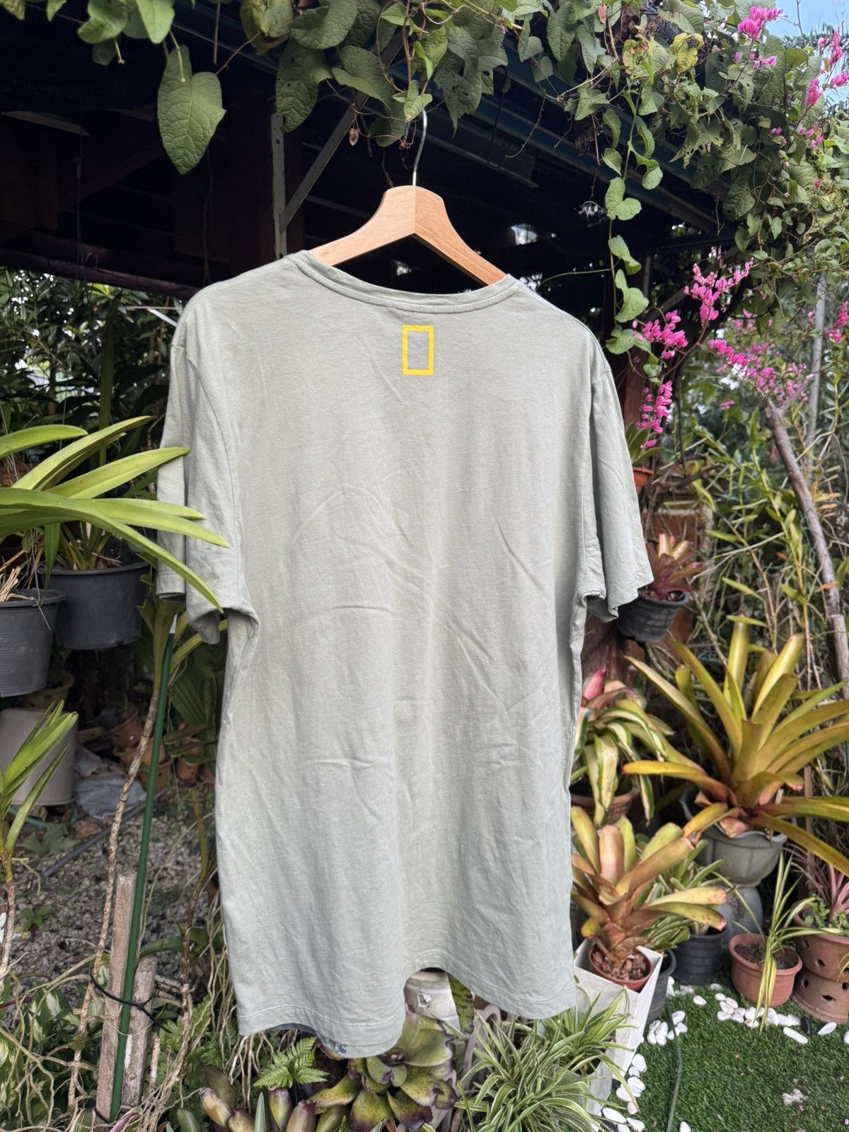 National Geographic x Uniqlo T Shirt
