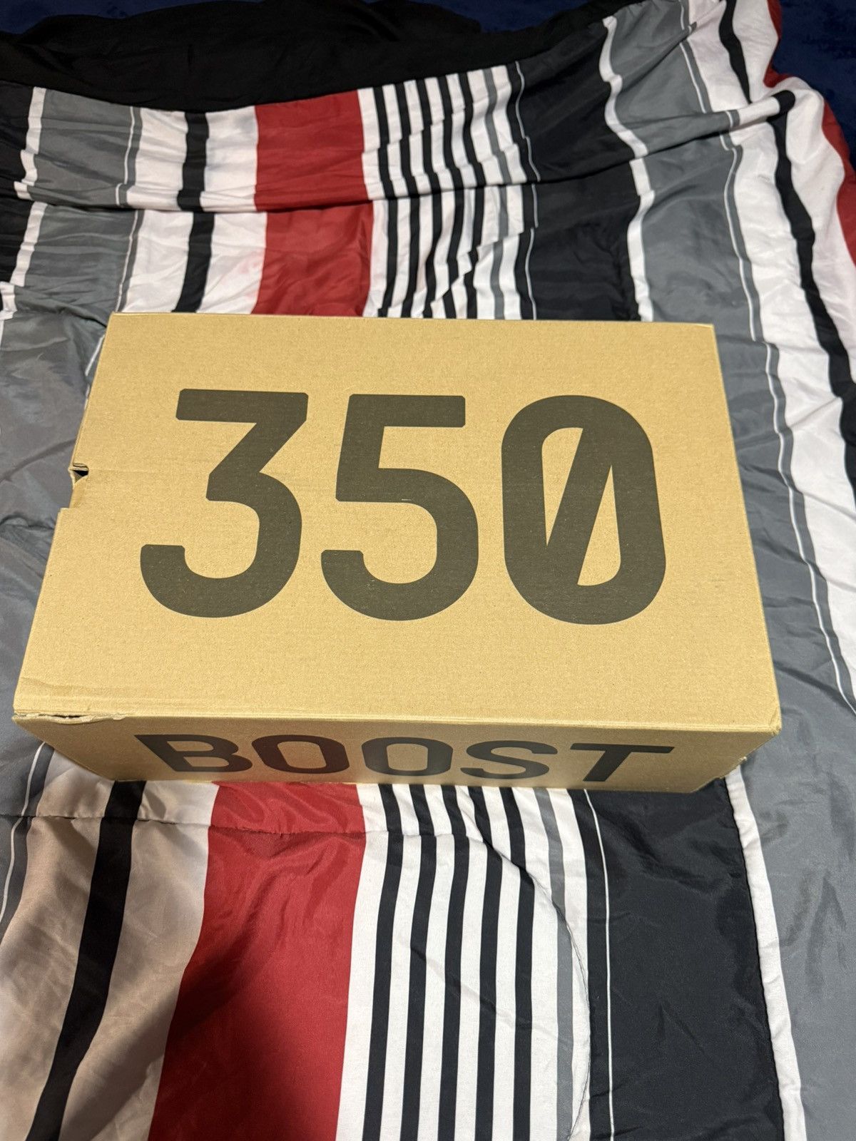 Adidas Yeezy 350 Size 15 Size US 15 / EU 48 - 6 Thumbnail
