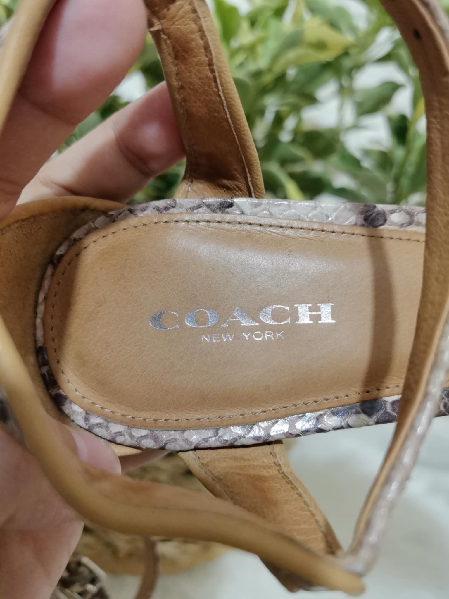 Coach ORIGINAL COACH SNAKESKIN PUMPS Size US 8 / IT 38 - 8 Thumbnail