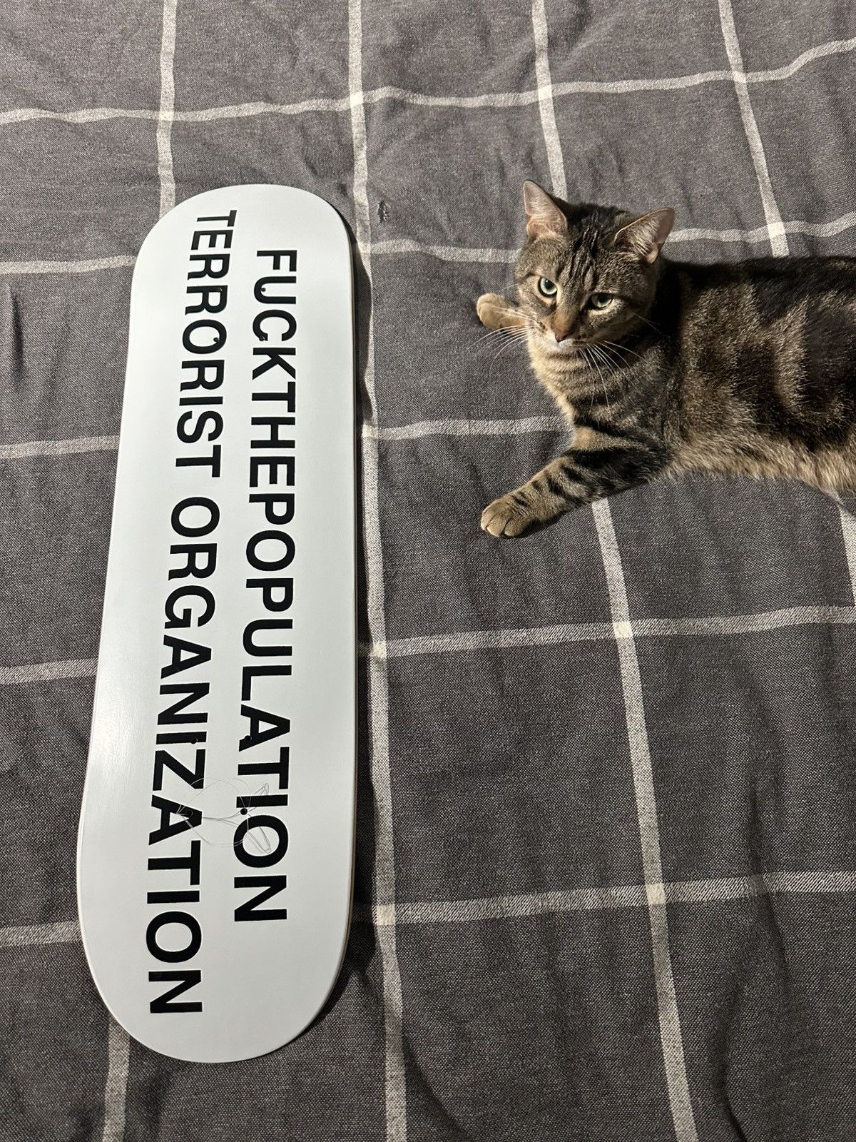 Fuck The Population FTP Terrorist Organization Deck Size ONE SIZE - 1 Thumbnail