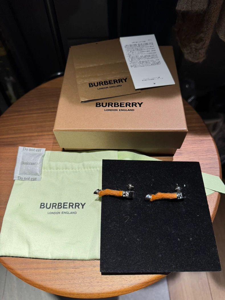 Burberry Burberry Horse Hair Horseshoe Earrings 2502-Nextarrow Size ONE SIZE - 1 Thumbnail