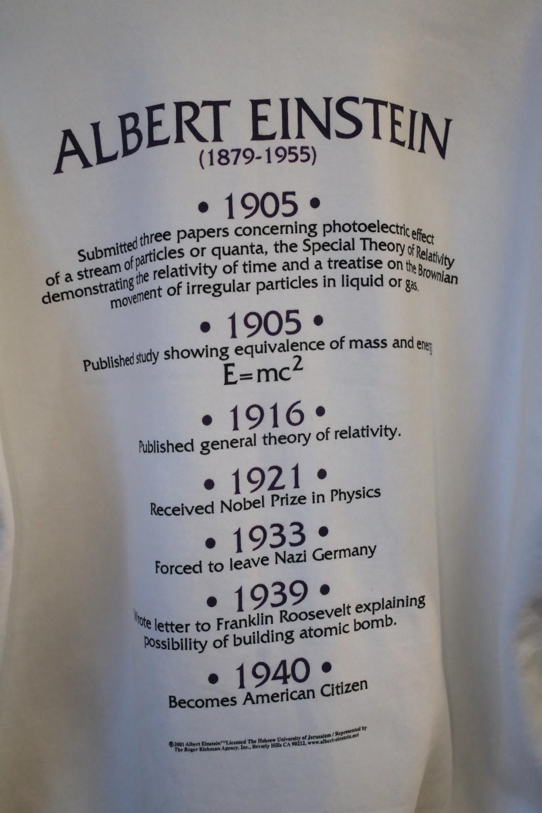 Hanes 00's Hanes Albert Einstein Portrait Crewneck Size XL / US 12-14 / IT 48-50 - 6 Thumbnail