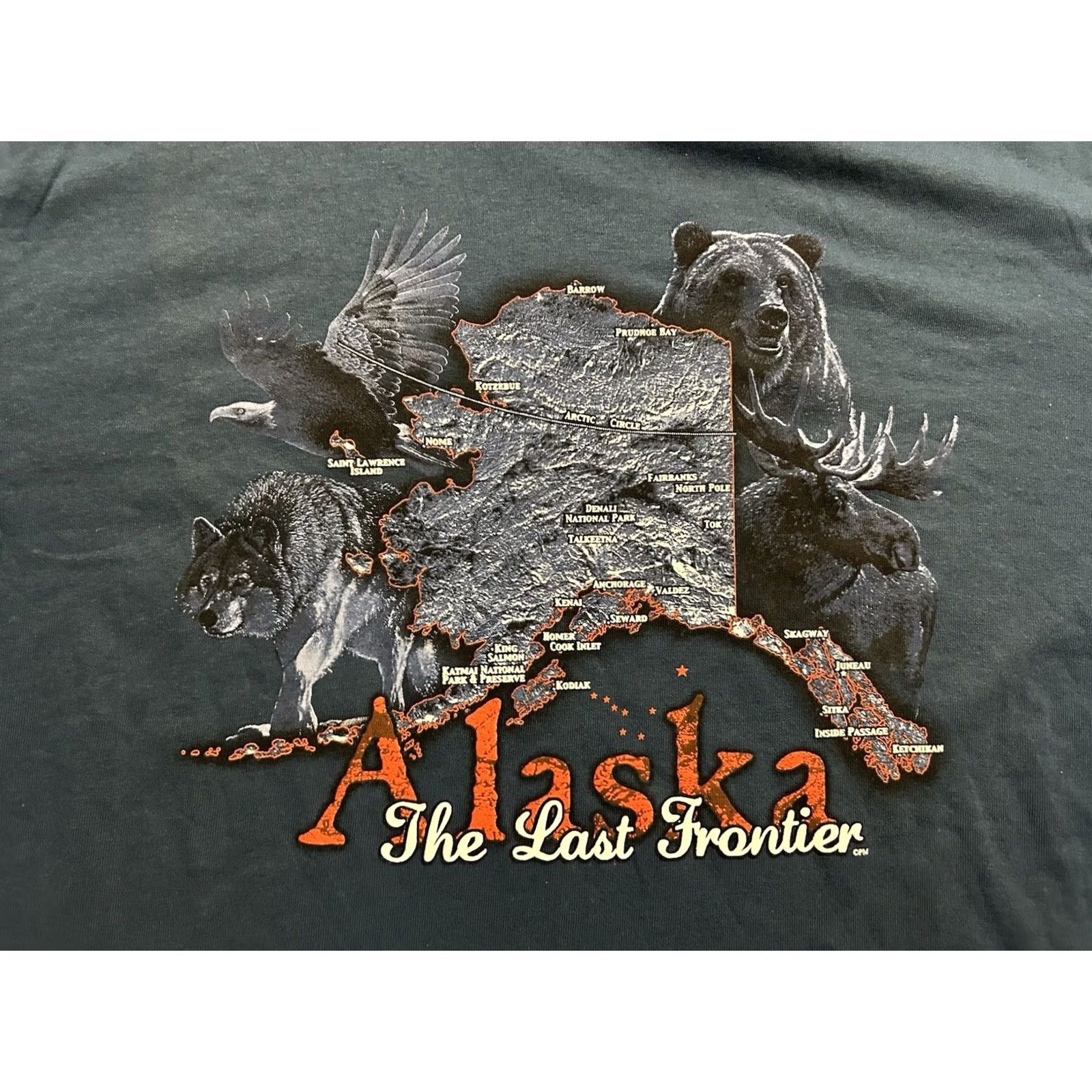 Delta VINTAGE Delta Alaska The Last Frontier Wildlife Black T-Shirt Men XL Crew Neck Short Sleeve 2000s Animals NWT Size US XL / EU 56 / 4 - 3 Thumbnail