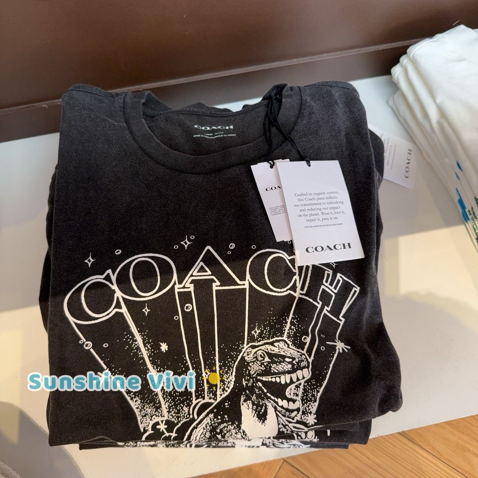 Coach NWT COACH Men T-Rex Relaxed T-Shirt Black CY573 large Size US L / EU 52-54 / 3 - 2 Thumbnail