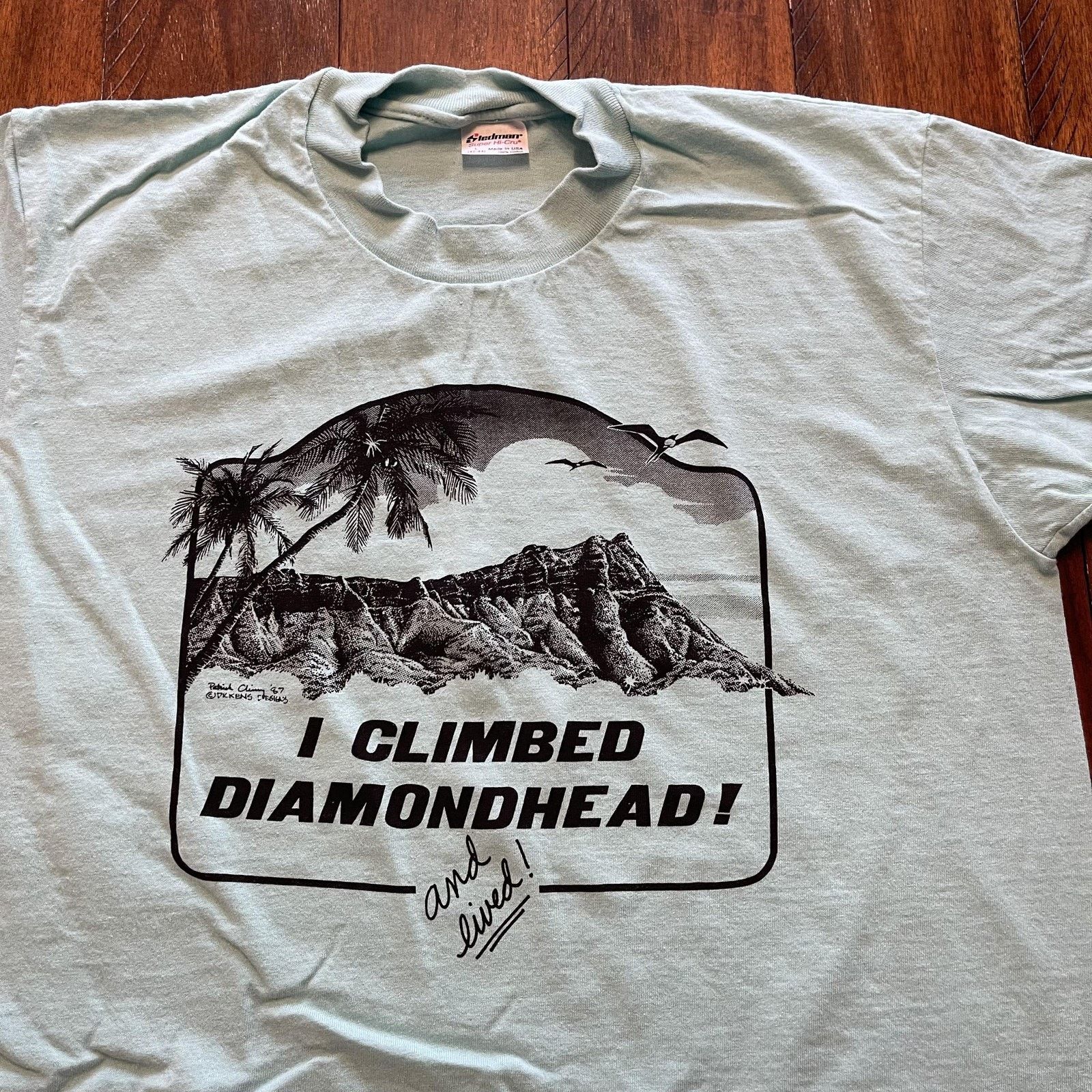 Vintage Vtg Diamond Head Shirt L Hawaii I Climbed Made USA 80s Size US L / EU 52-54 / 3 - 4 Thumbnail