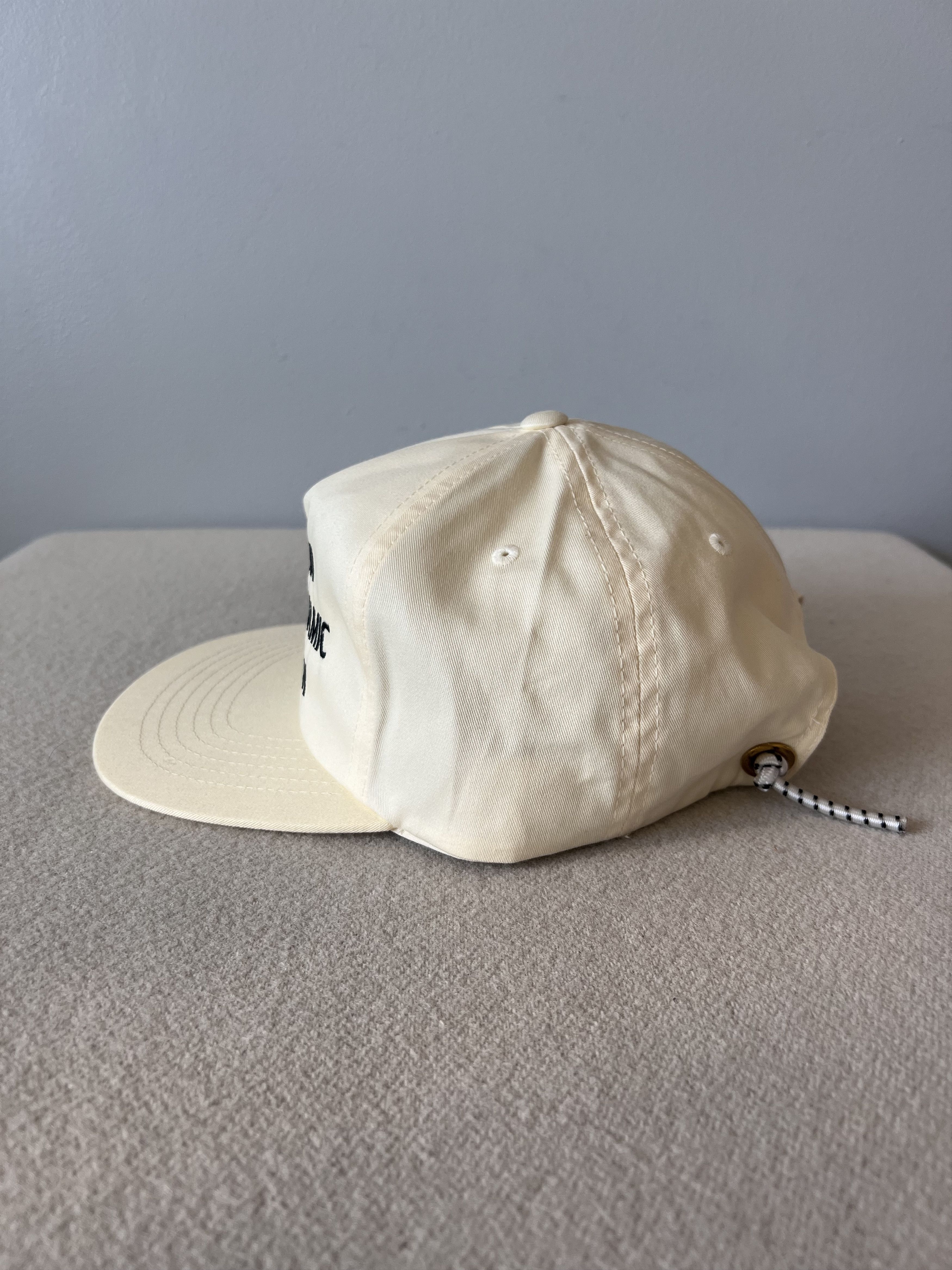 HIDDEN × Western Hydrodynamic Research Hidden NY Western Hydrodynamic Research Promotional Hat Size ONE SIZE - 2 Thumbnail