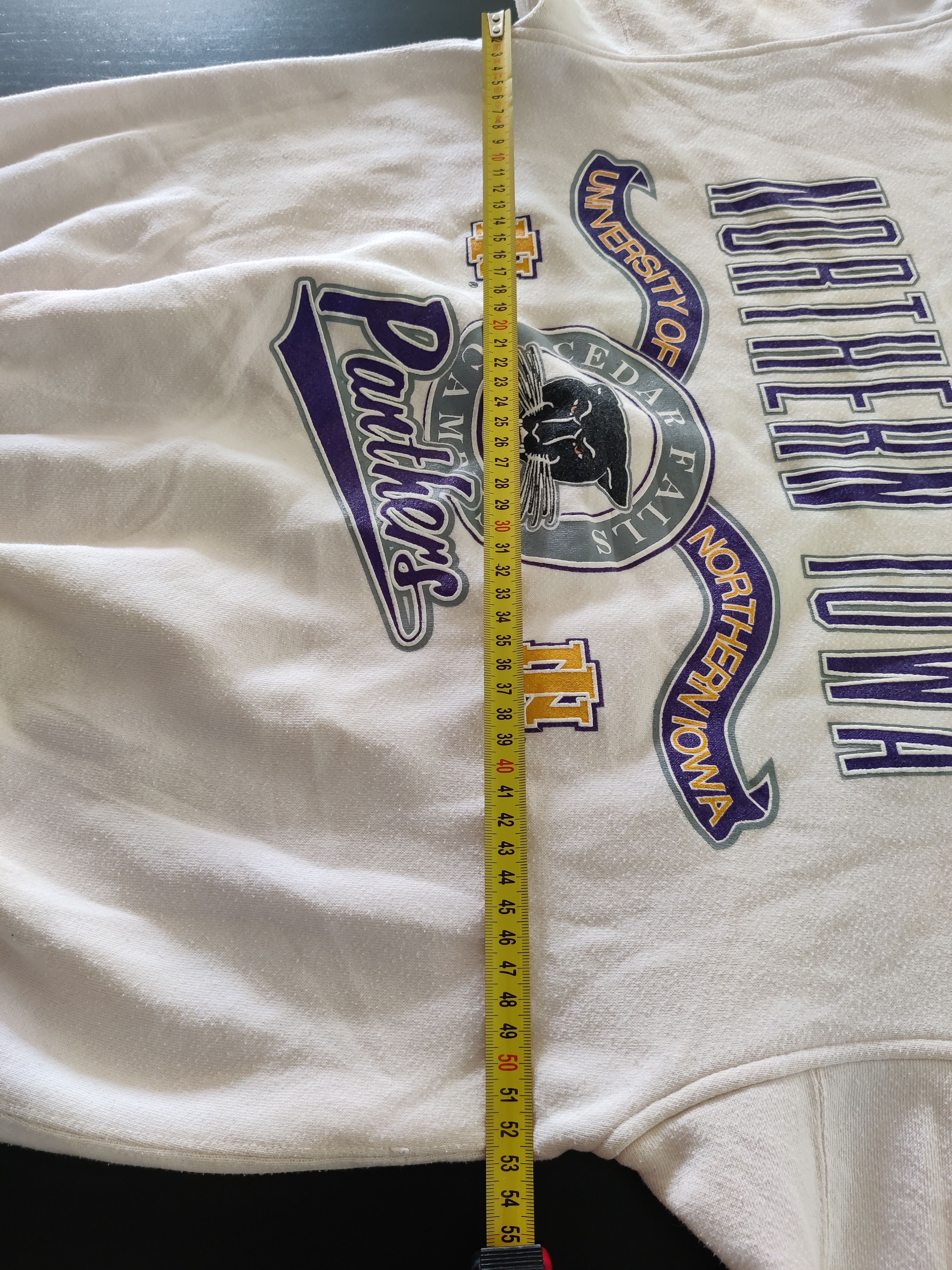 Other Danaggers Northern Iowa Panthers NCAA Vintage 90s Crewneck M Size US M / EU 48-50 / 2 - 10 Thumbnail