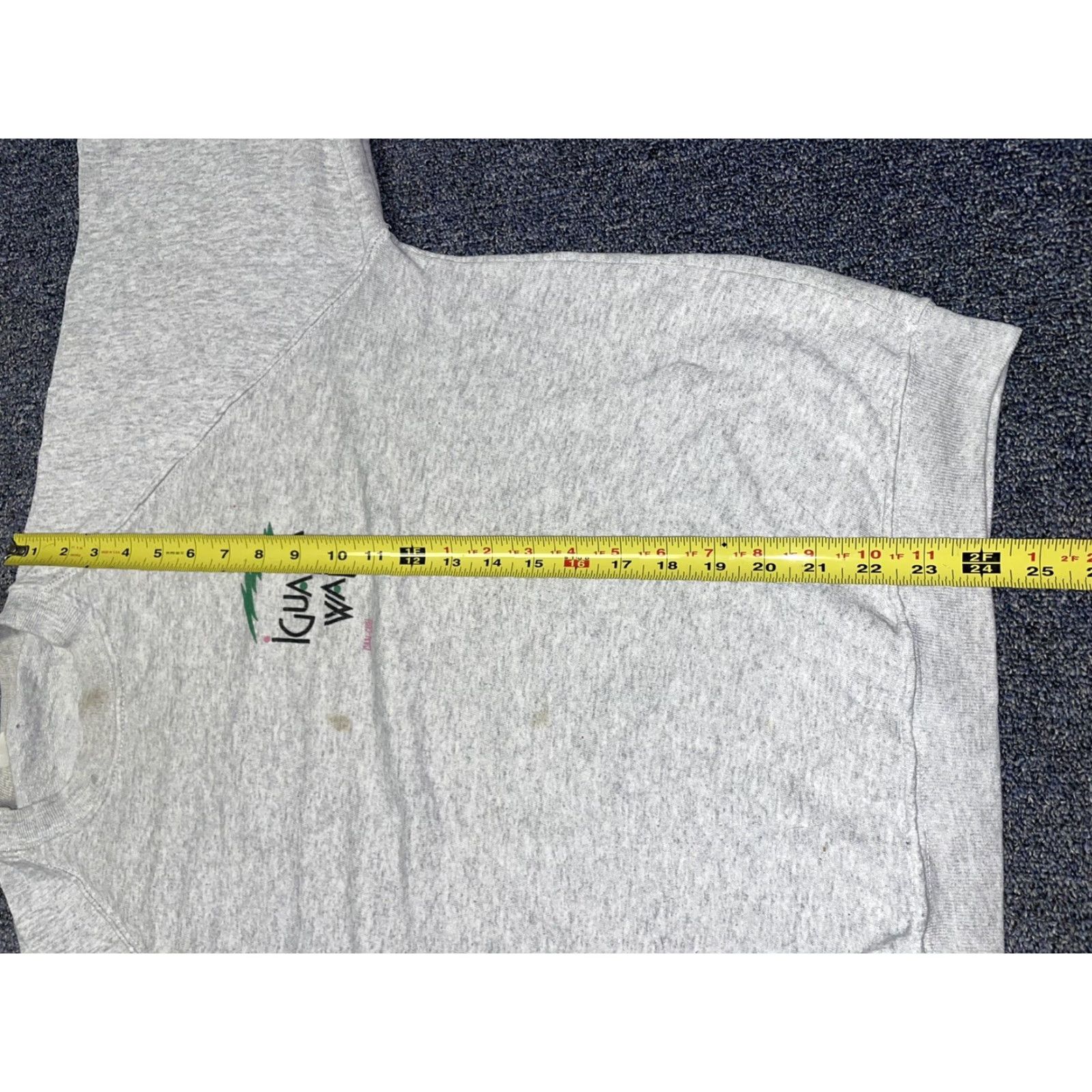 Vintage VINTAGE Iguana Animal Made in USA Crewneck Sweatshirt XL Crew Neck Sweatshirt Graphic Print Men Blue 90s Size US XL / EU 56 / 4 - 5 Thumbnail